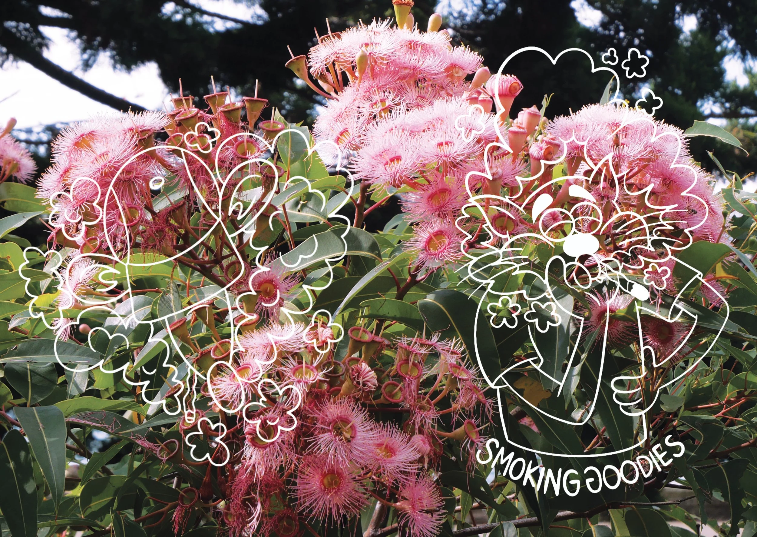 WORTHLESS_ZINE  spreads21.JPG