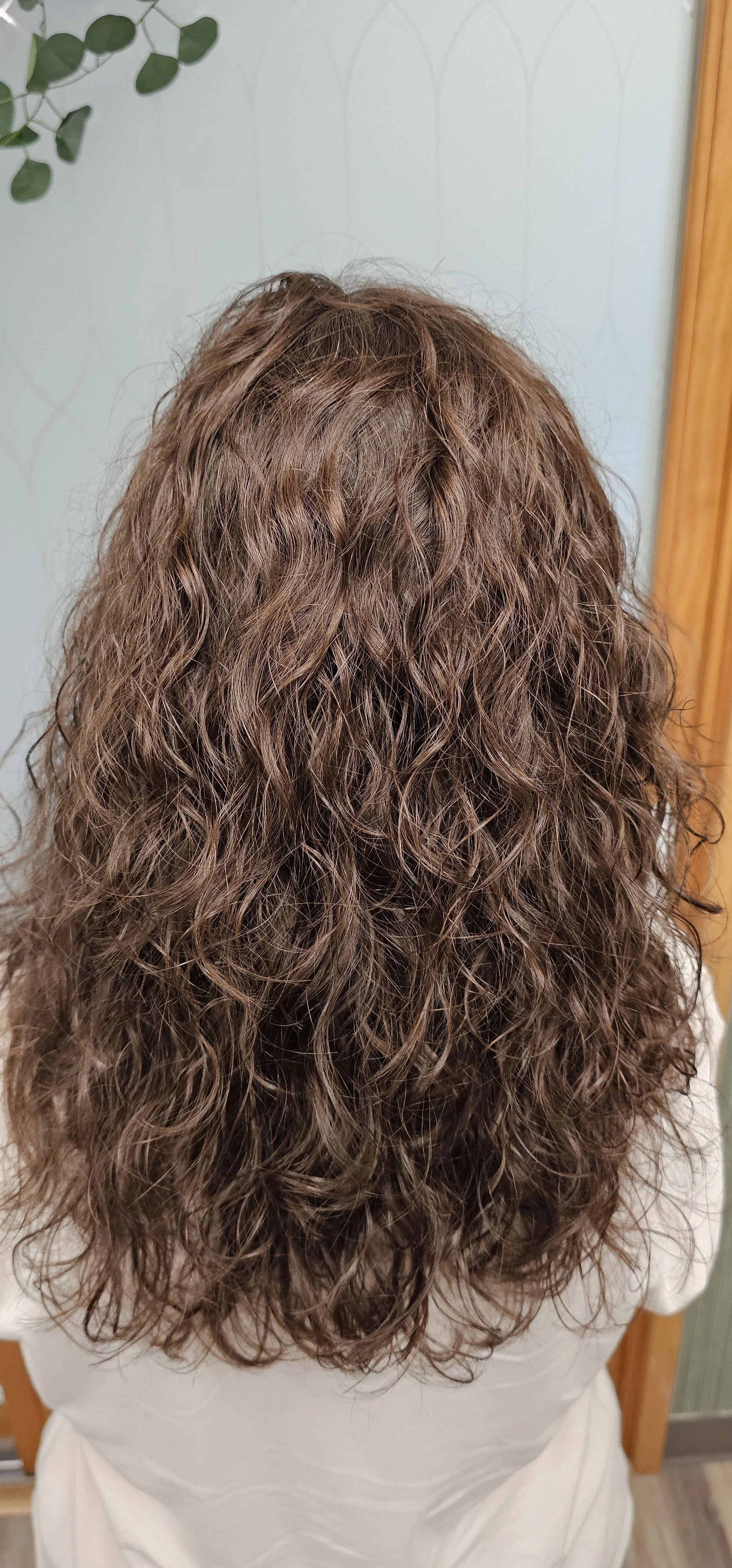 Curly cut on long curly brown and blonde hair