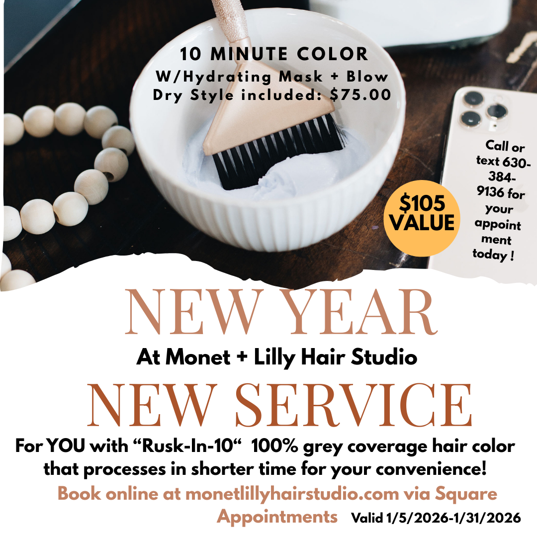 January 10 minute grey color hair appointment bundle
