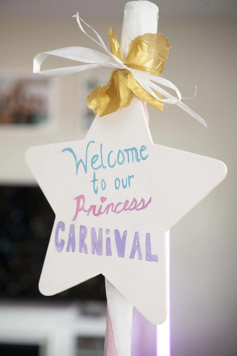 3535762-15fb-5bf1-4fd5-0b8dd20cc38a_pastel_carnival_sign_1.jpg