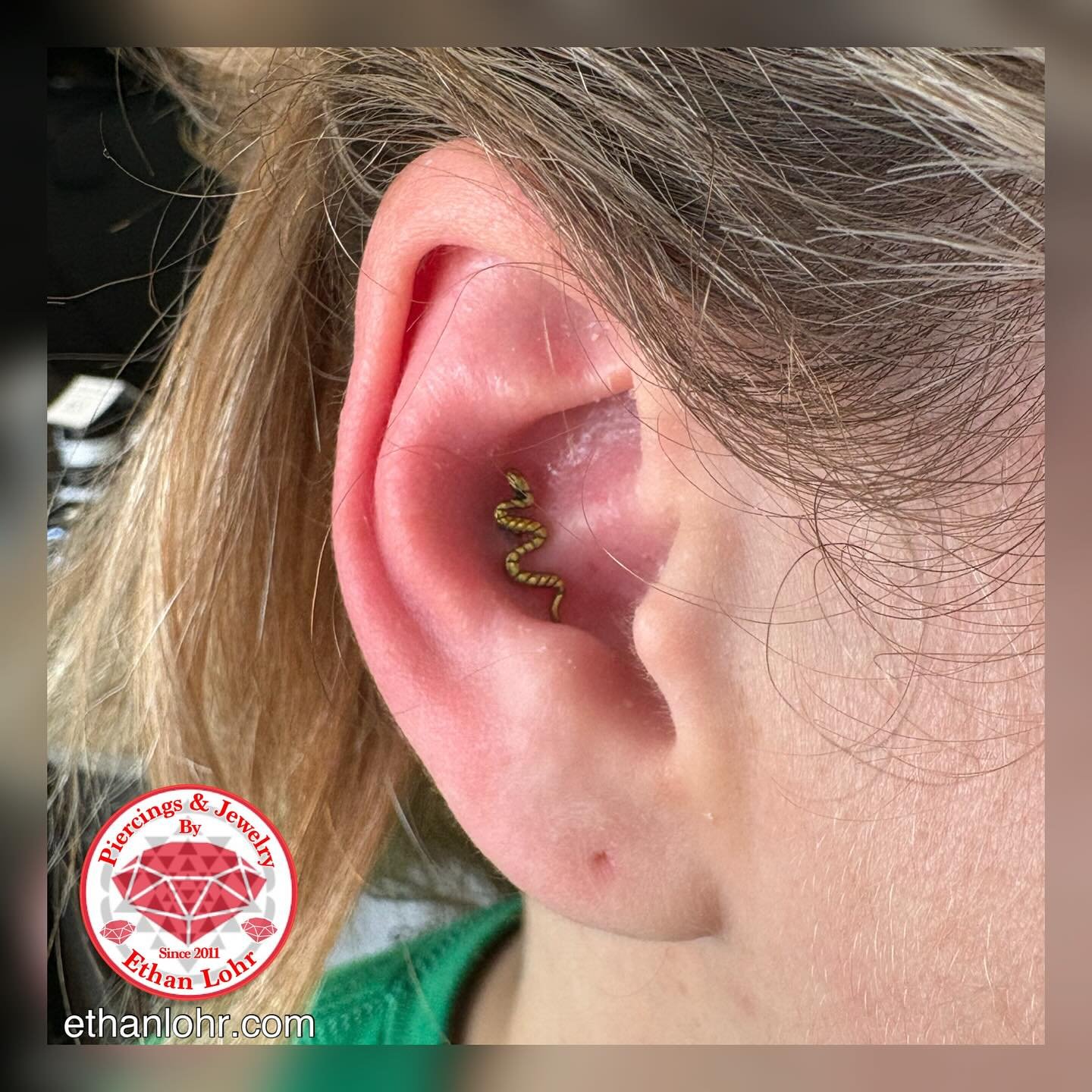 Lots of cool jewelry available! Schedule your next piercing with me now.
https://www.ethanlohr.com/piercing-appointments
#BodyPiercings #conch #snake #Lafayette #NewIberia #louisiana #PiercingsByEthanLohr