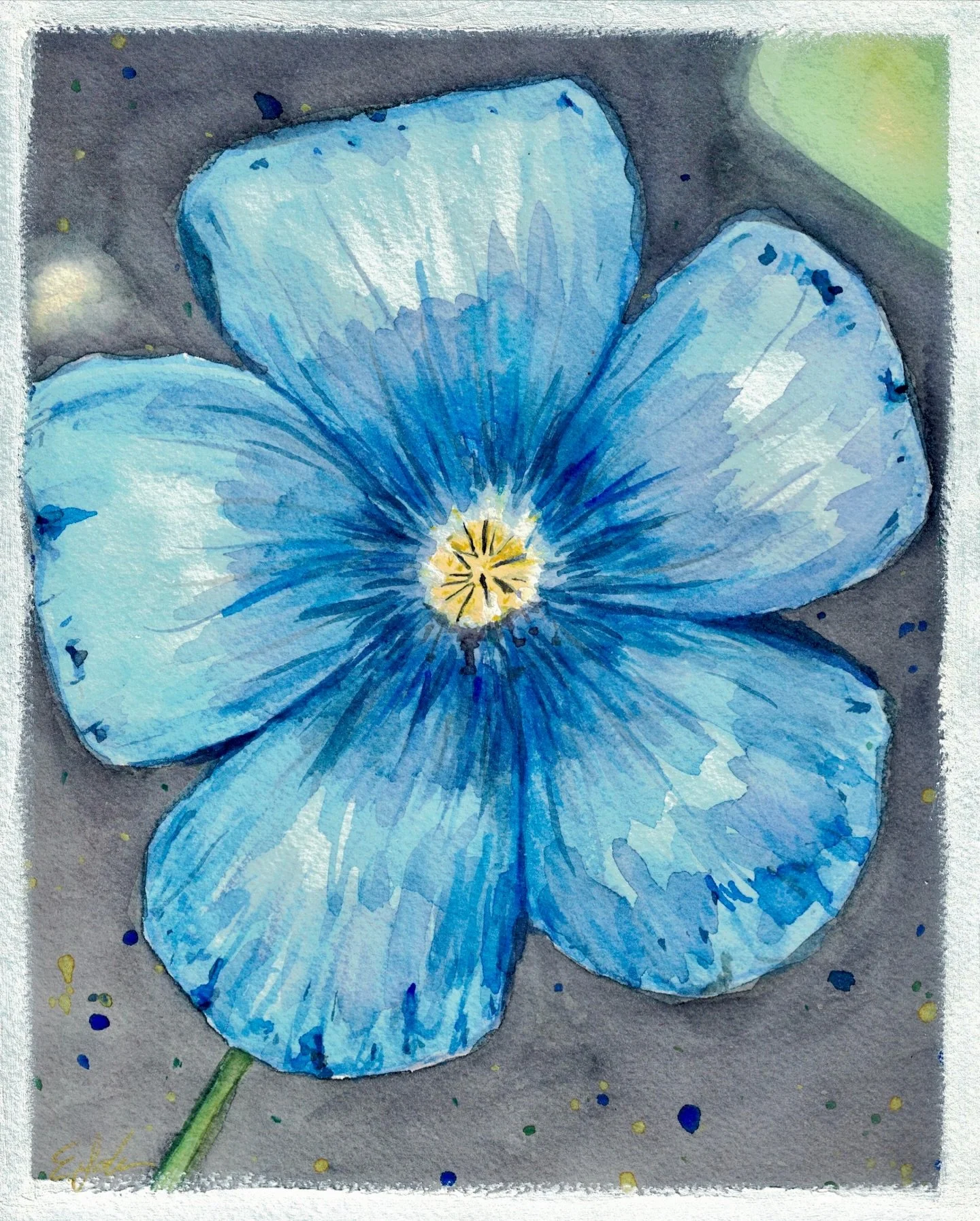 Added a border around &ldquo;the morning blues&rdquo; to better match &ldquo;passion red flower&rdquo; 
https://www.ethanlohr.com/shop 
&amp; 
https://www.redbubble.com/shop/ap/176158715?ref=studio-promote