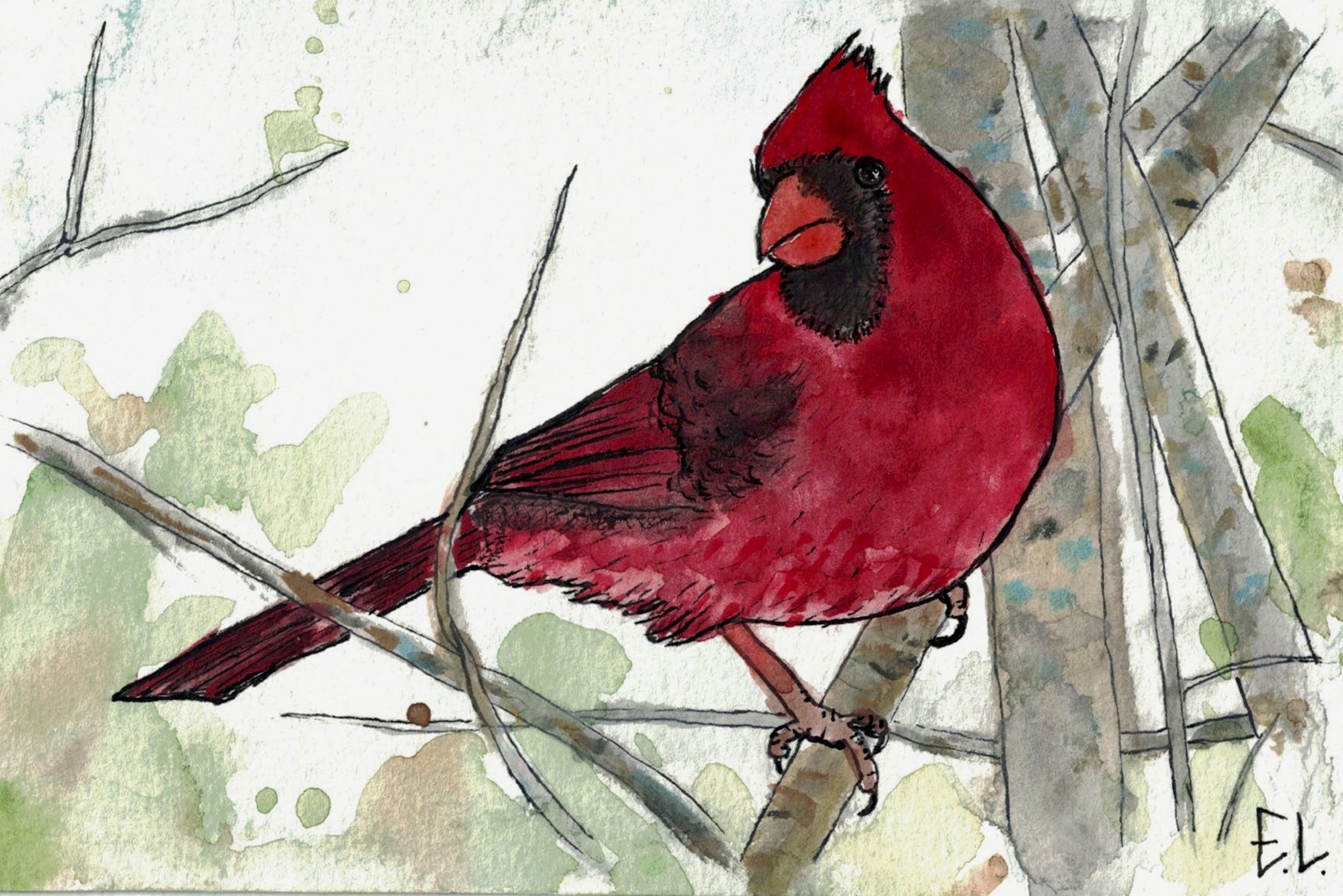 Print of "Cardinal Watercolor Painting"