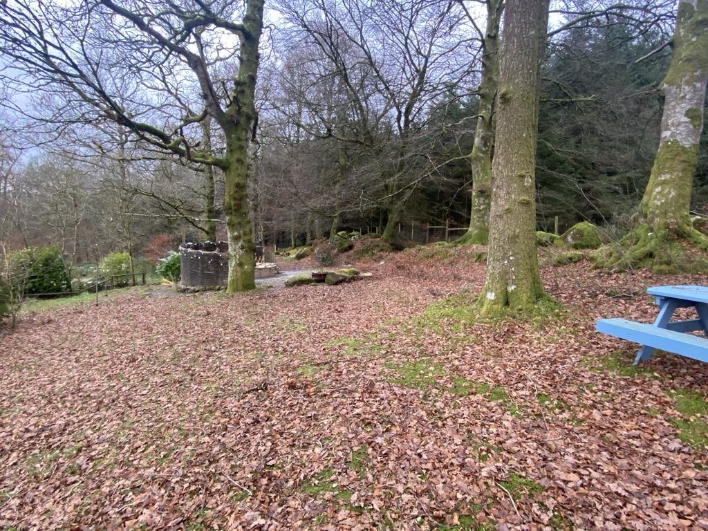 wicklow_escape_1.jpg