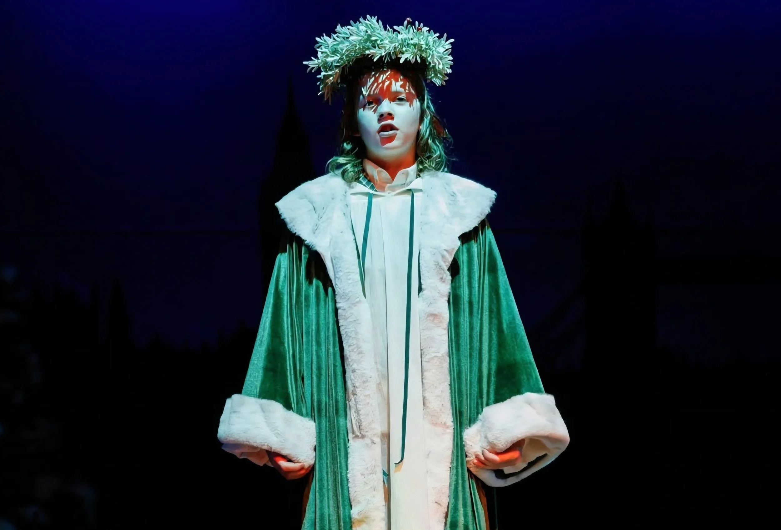 Costume Builder/ Stitcher