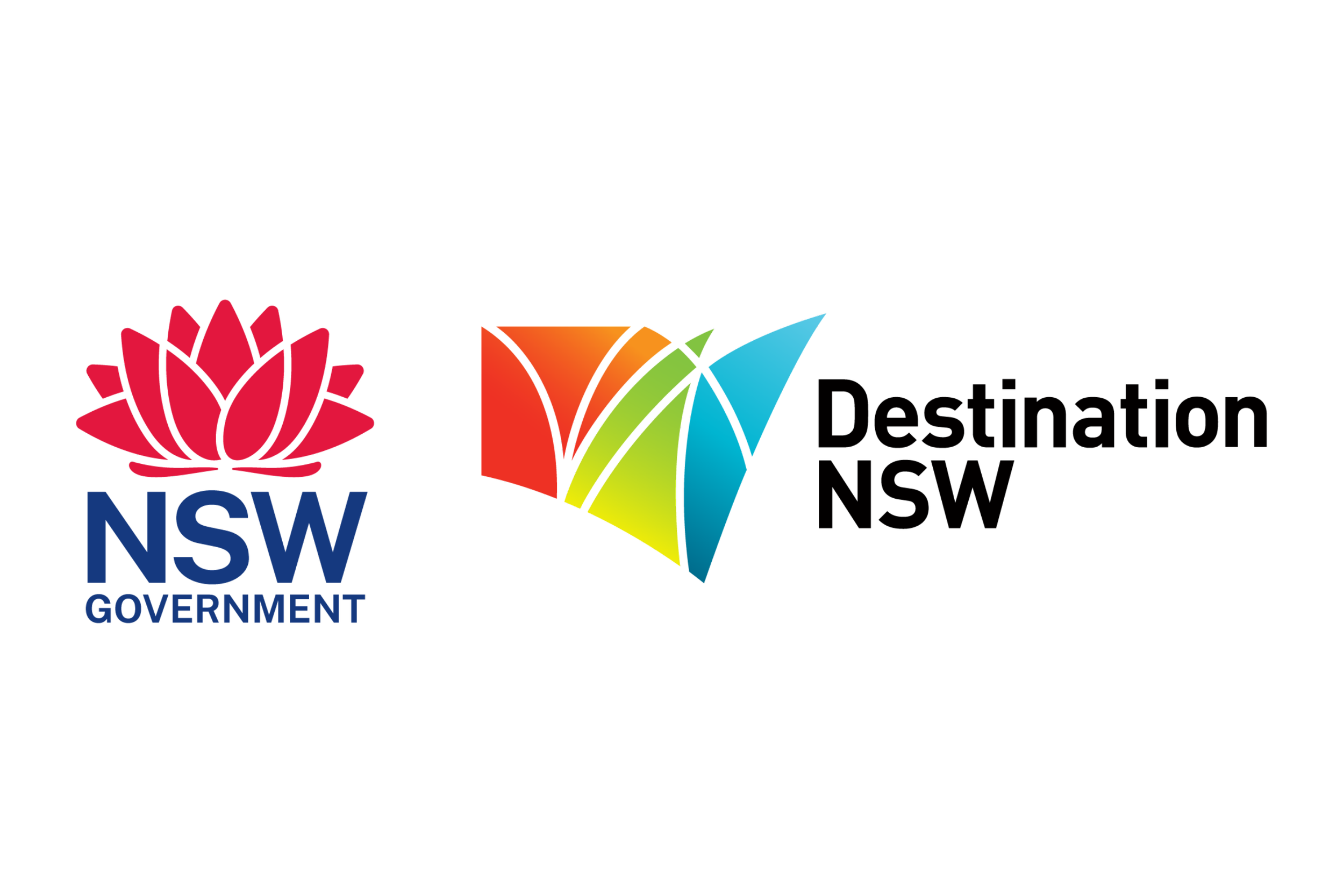 DNSW Logo (3 x 2 in).png