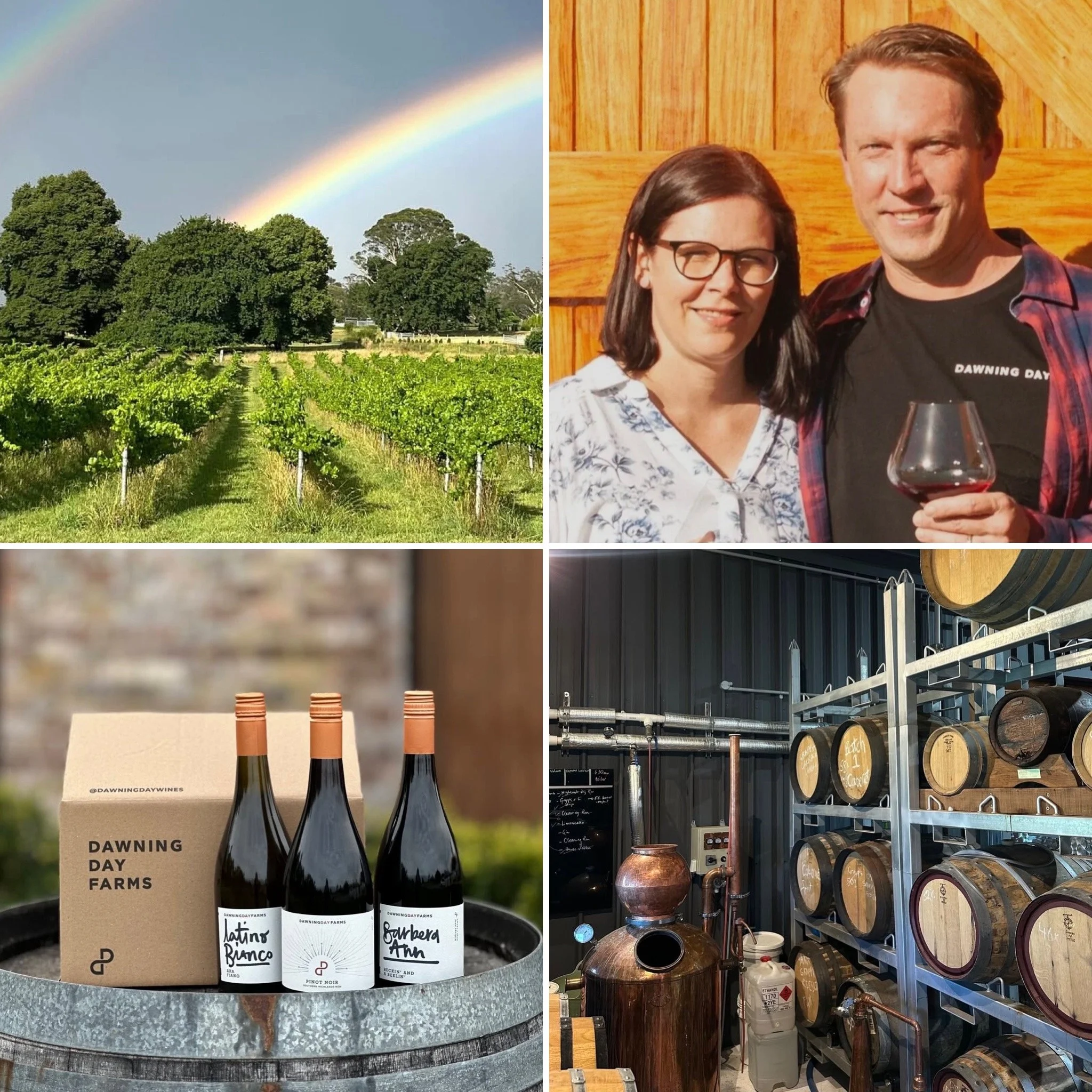 3 Course Set menu Lunch at SOUTH on Albany (feat. Dawning Day Wines)