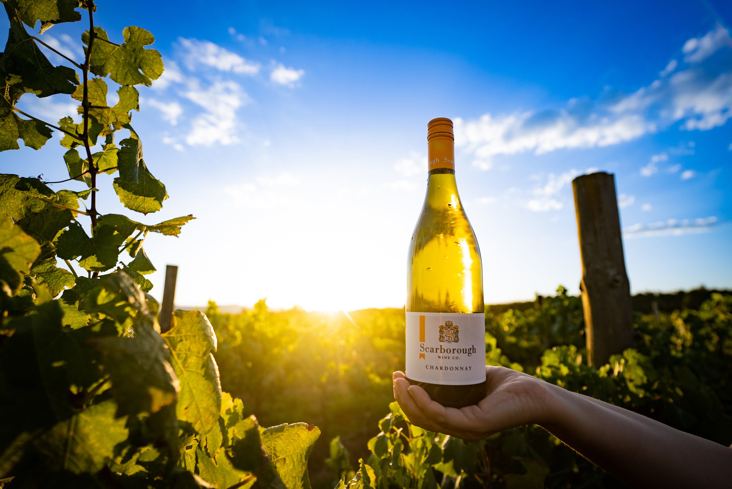 Scarborough Wines | Hunter Valley