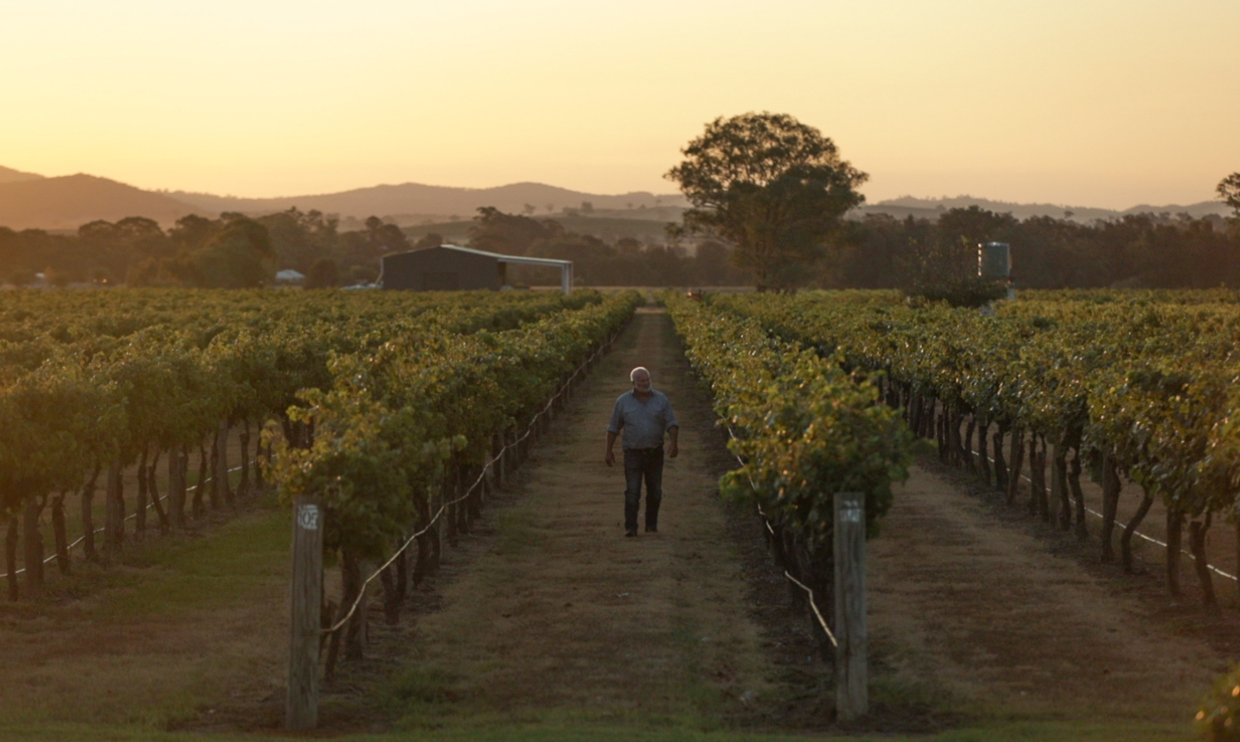 Peterson's Wines | Hunter Valley