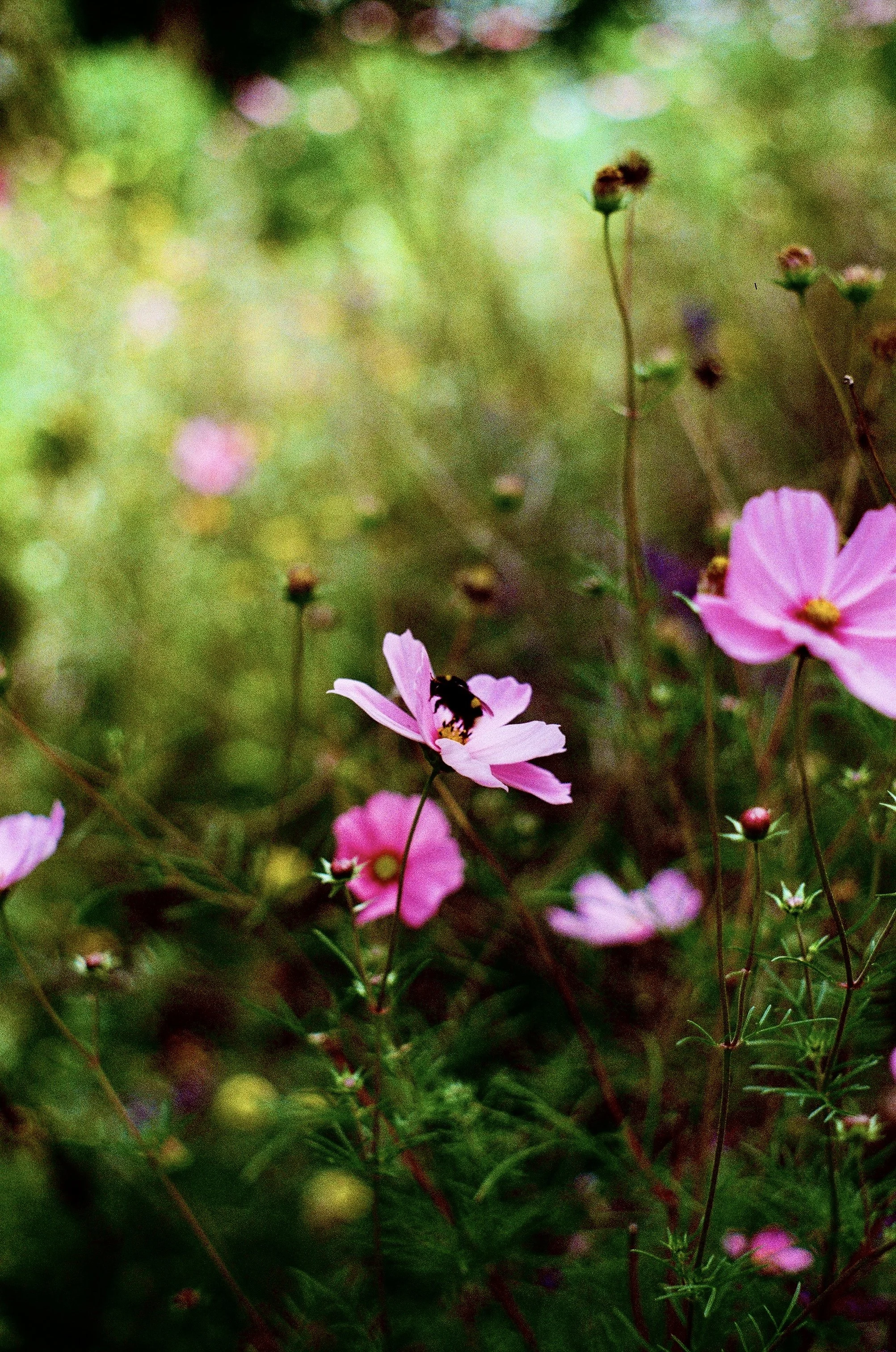 Photo Mar 11 2026, 10 33 55 PM (38).jpg