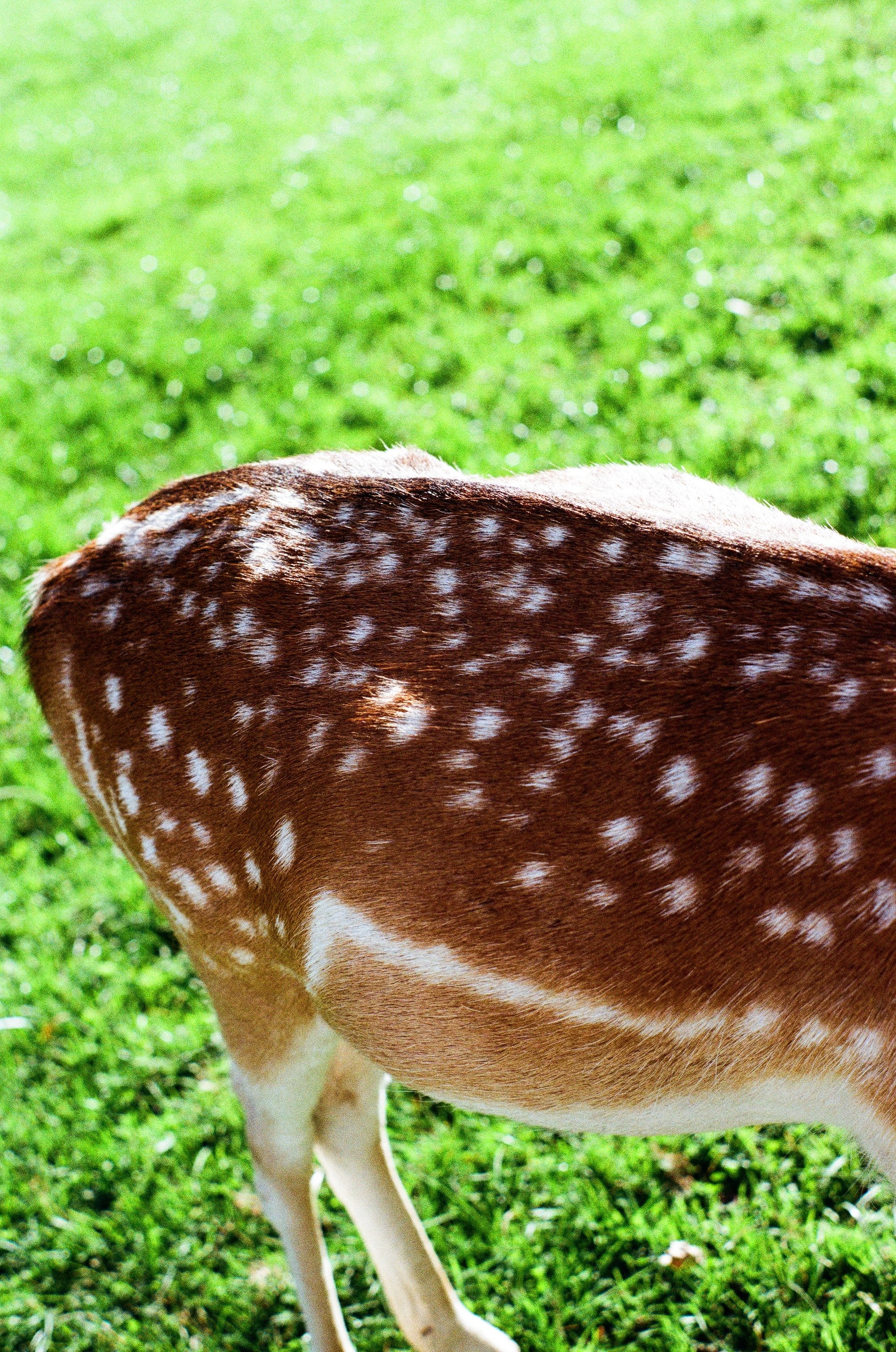 Photo Mar 11 2026, 10 33 55 PM (35).jpg