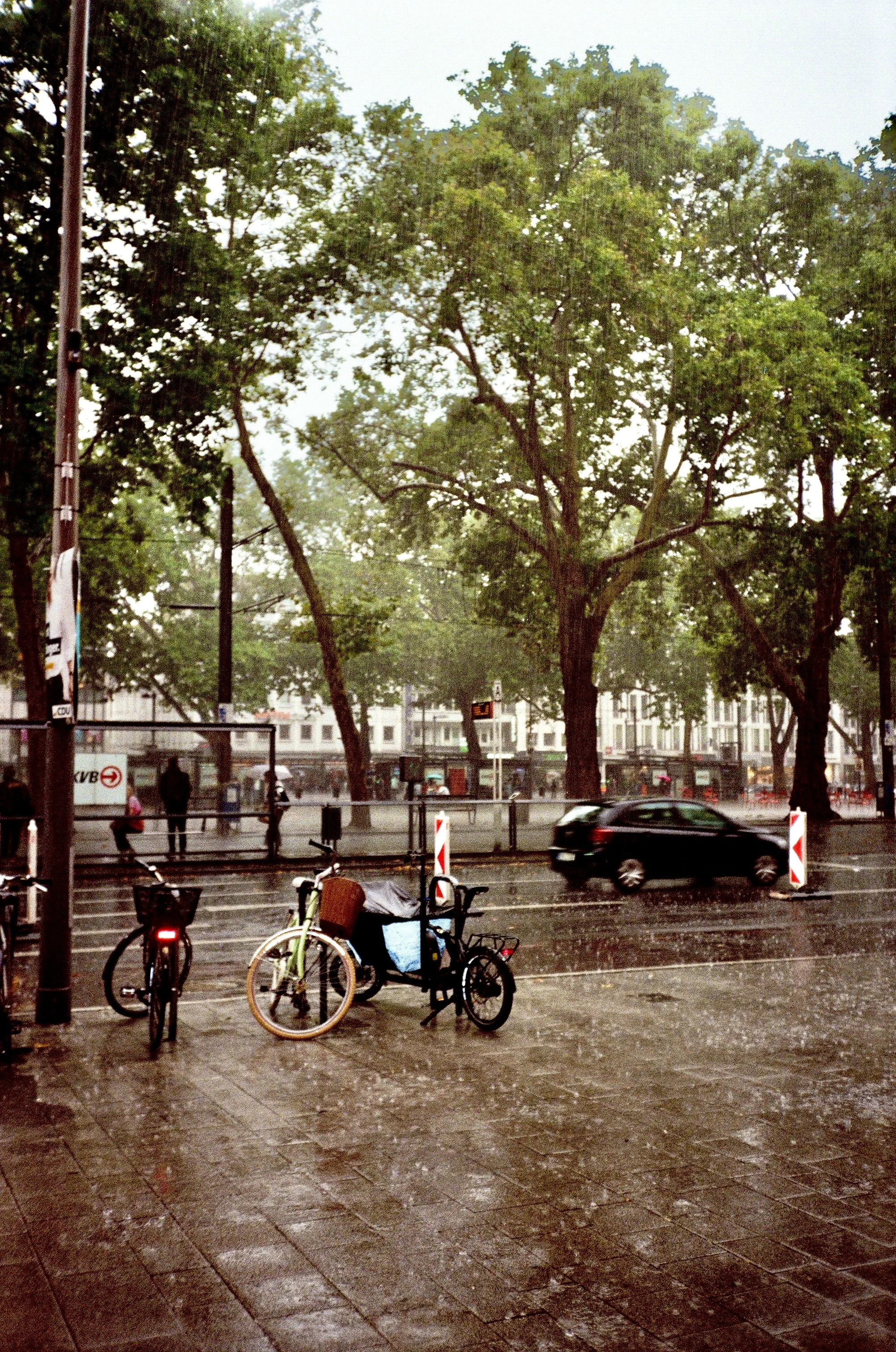 Photo Mar 11 2026, 10 33 55 PM (2).jpg