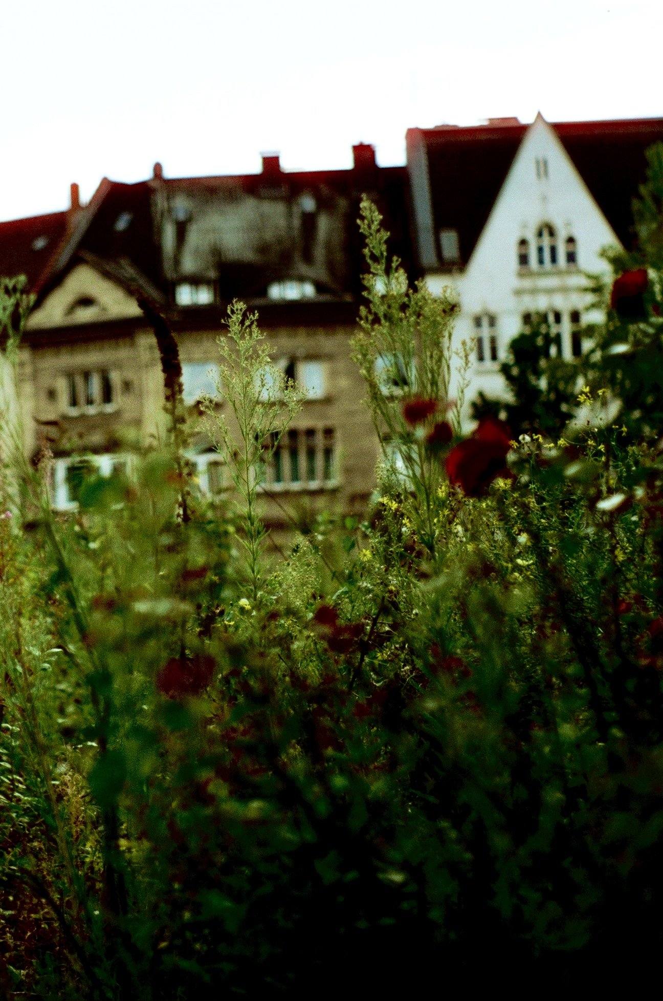 Photo Mar 11 2026, 10 33 55 PM (21).jpg