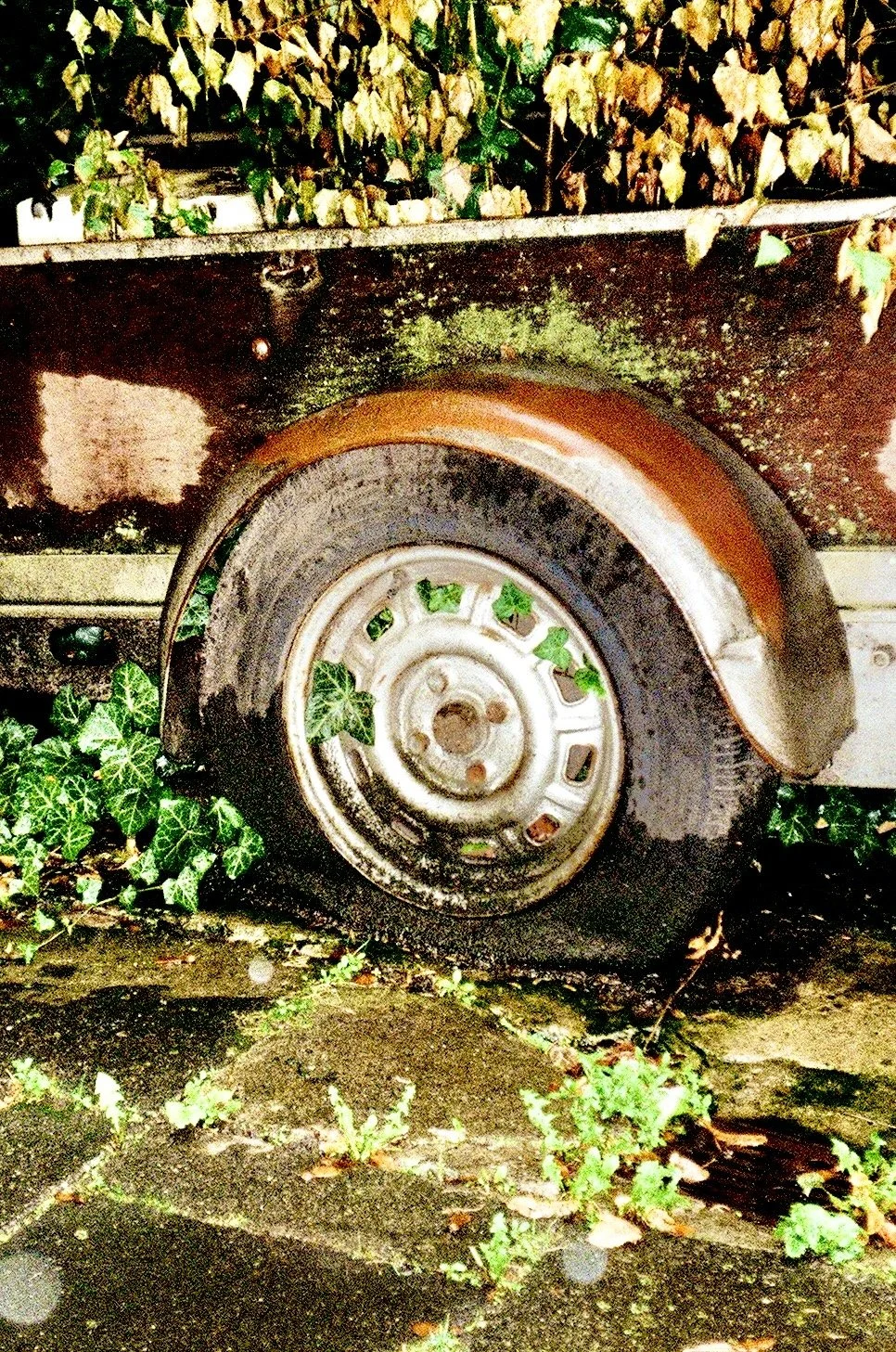 Photo Mar 11 2026, 10 33 55 PM (3).jpg