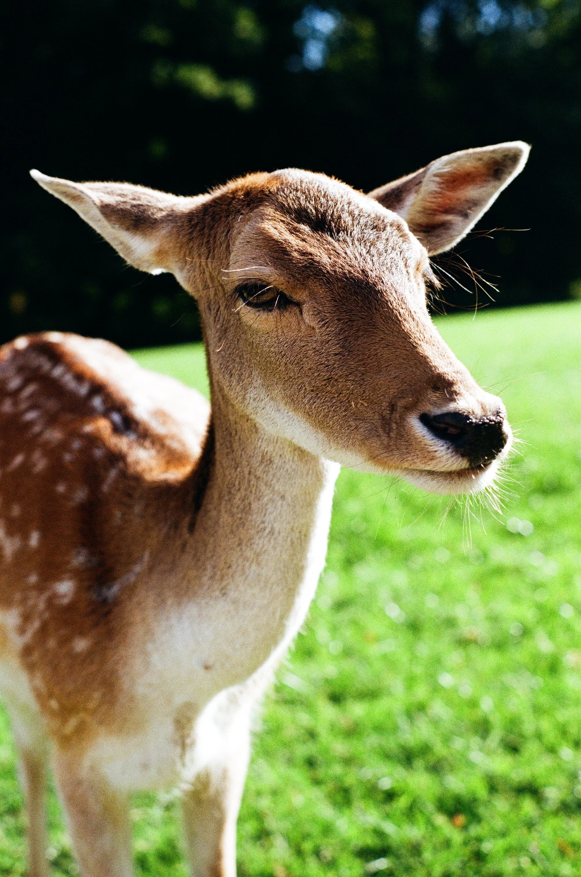 Photo Mar 11 2026, 10 33 55 PM (37).jpg