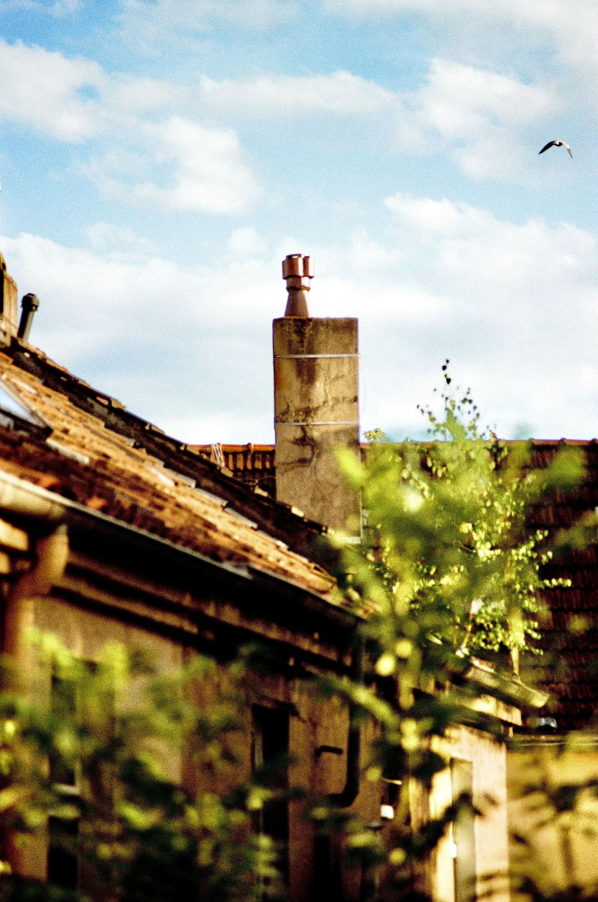 Photo Mar 11 2026, 10 33 55 PM (19).jpg