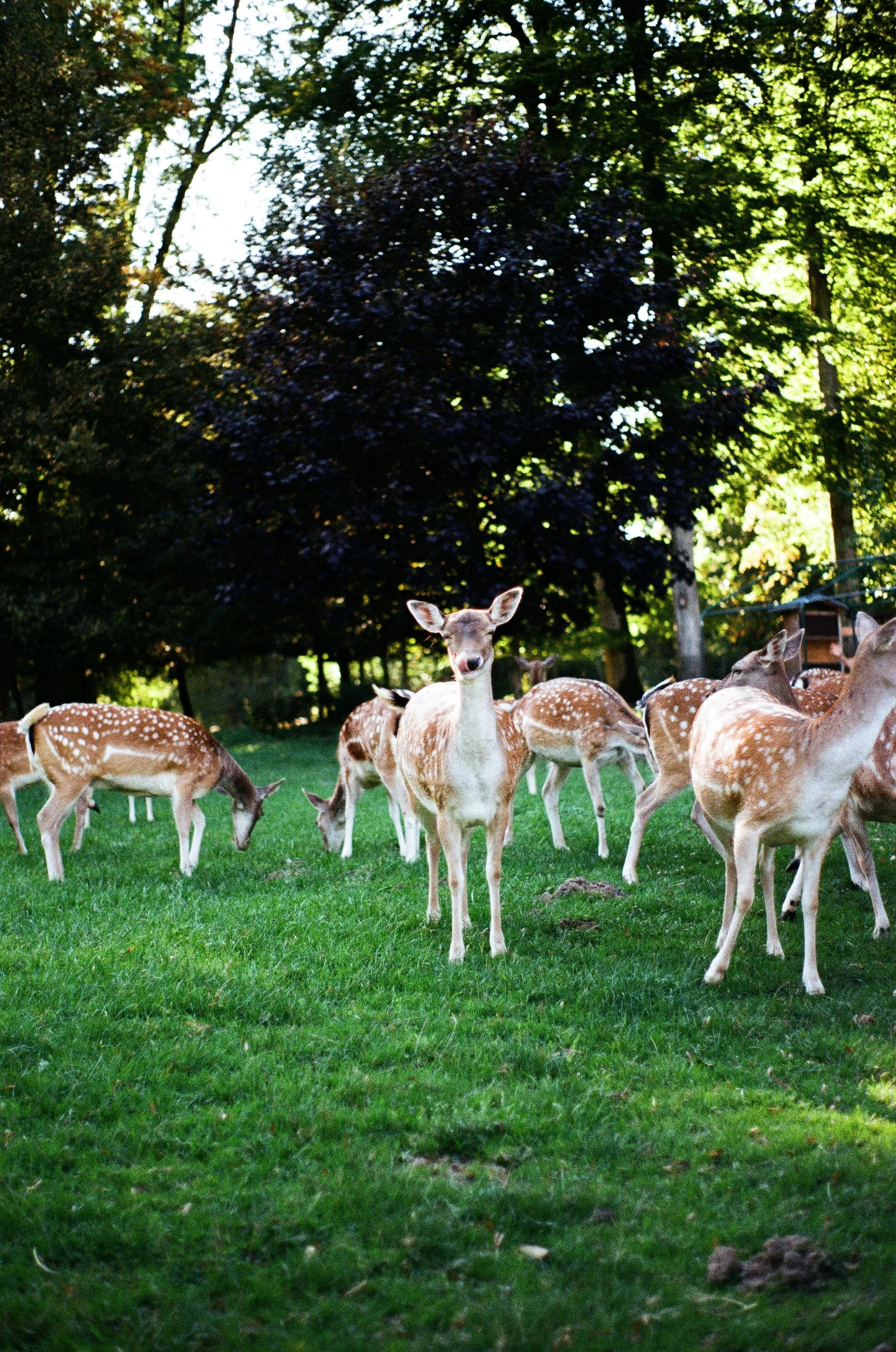 Photo Mar 11 2026, 10 33 55 PM (36).jpg