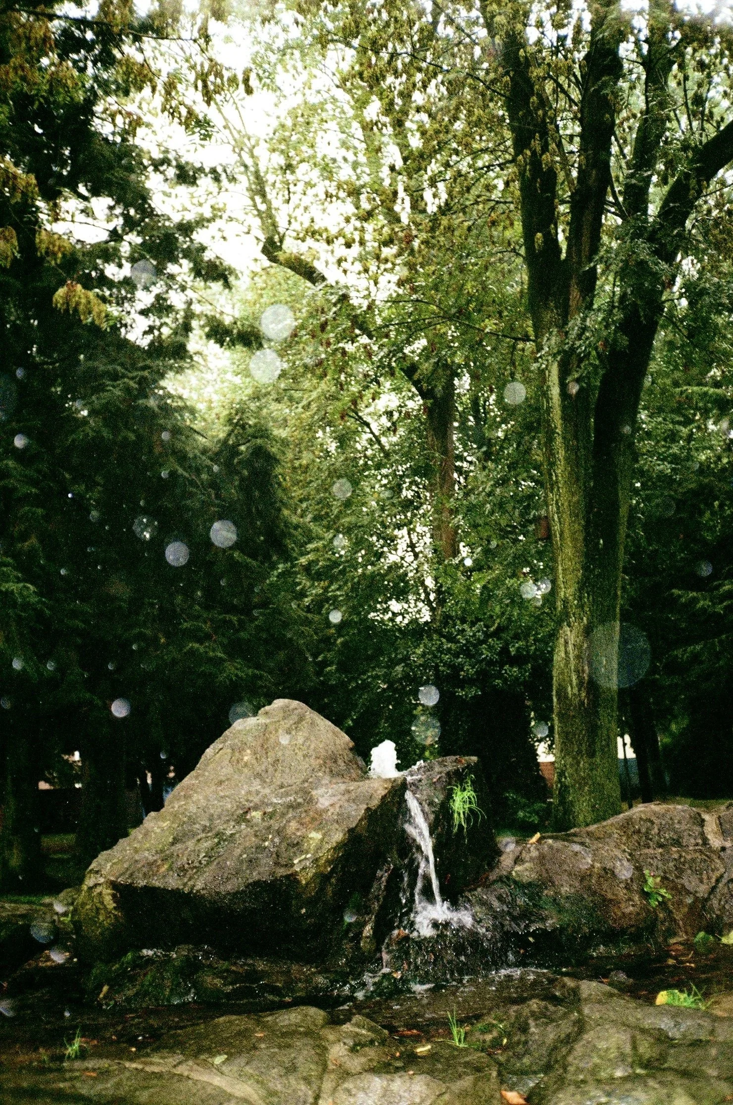 Photo Mar 11 2026, 10 33 55 PM (8).jpg