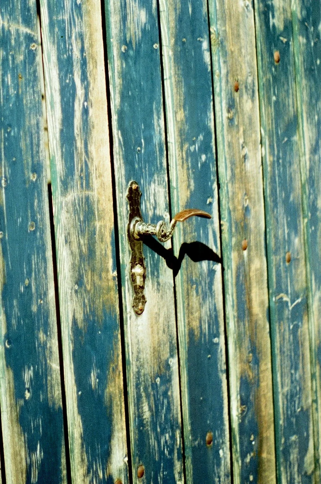 Photo Mar 11 2026, 10 33 55 PM (27).jpg