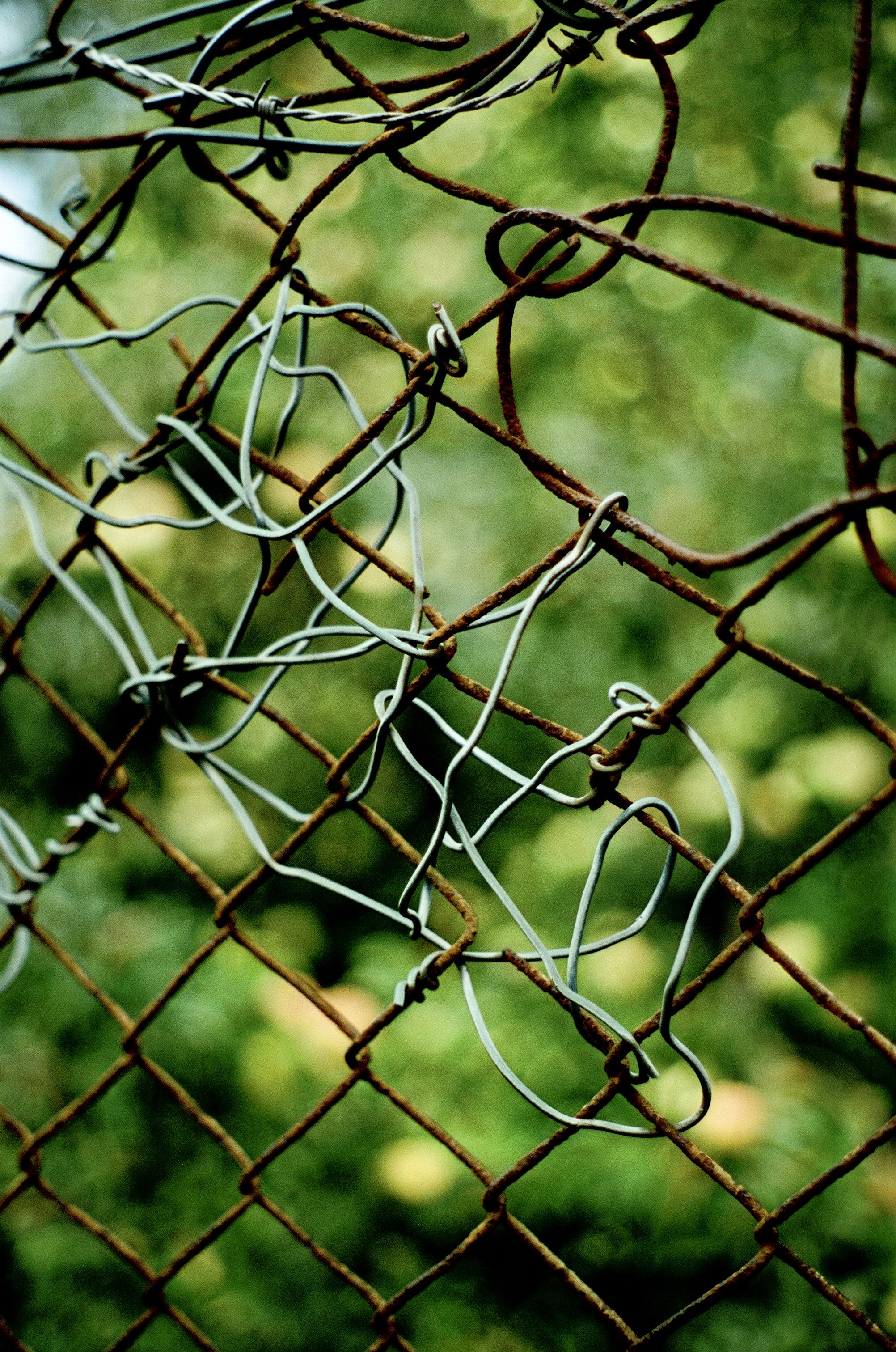 Photo Mar 11 2026, 10 33 55 PM (24).jpg