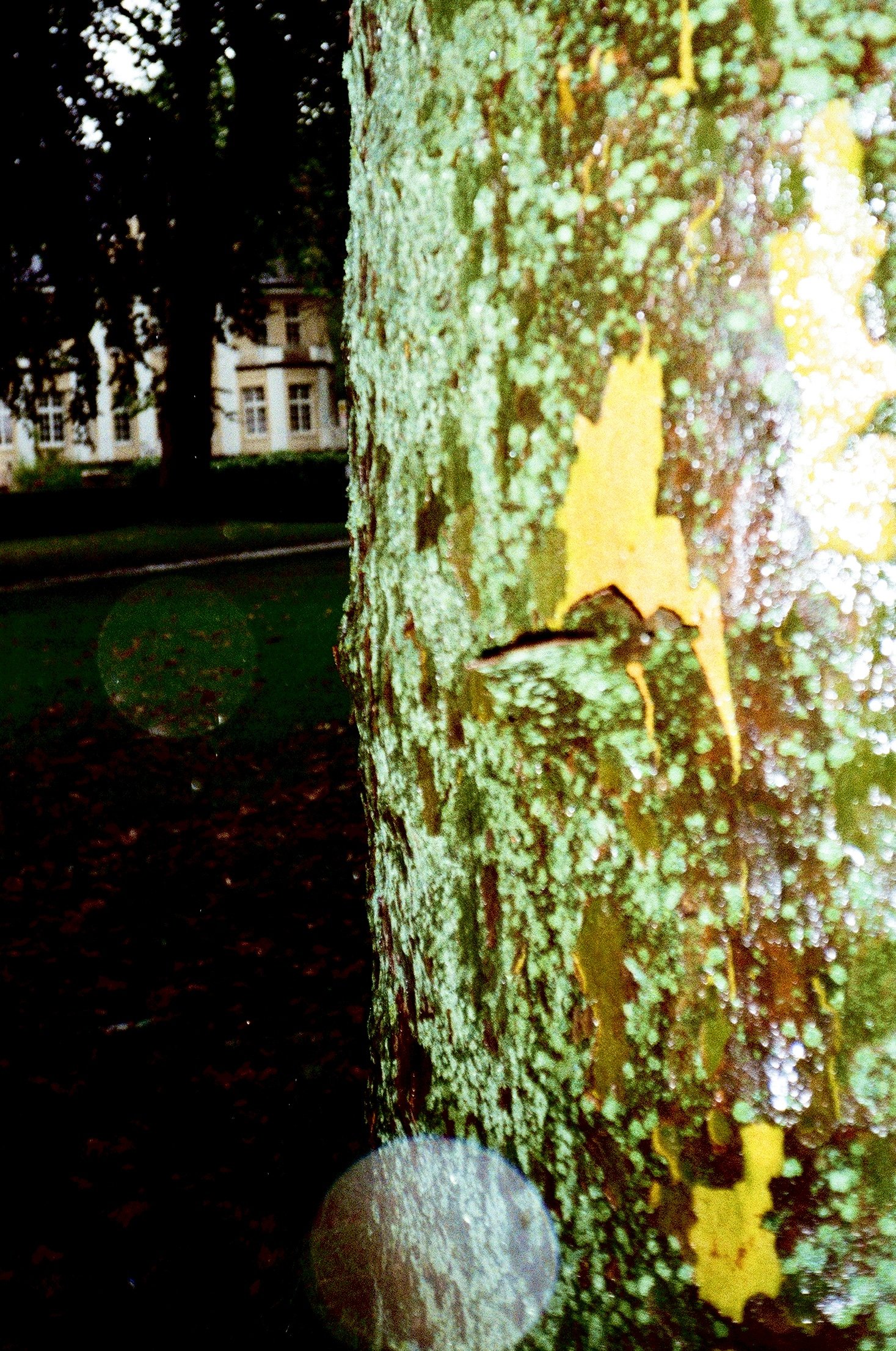 Photo Mar 11 2026, 10 33 55 PM (5).jpg