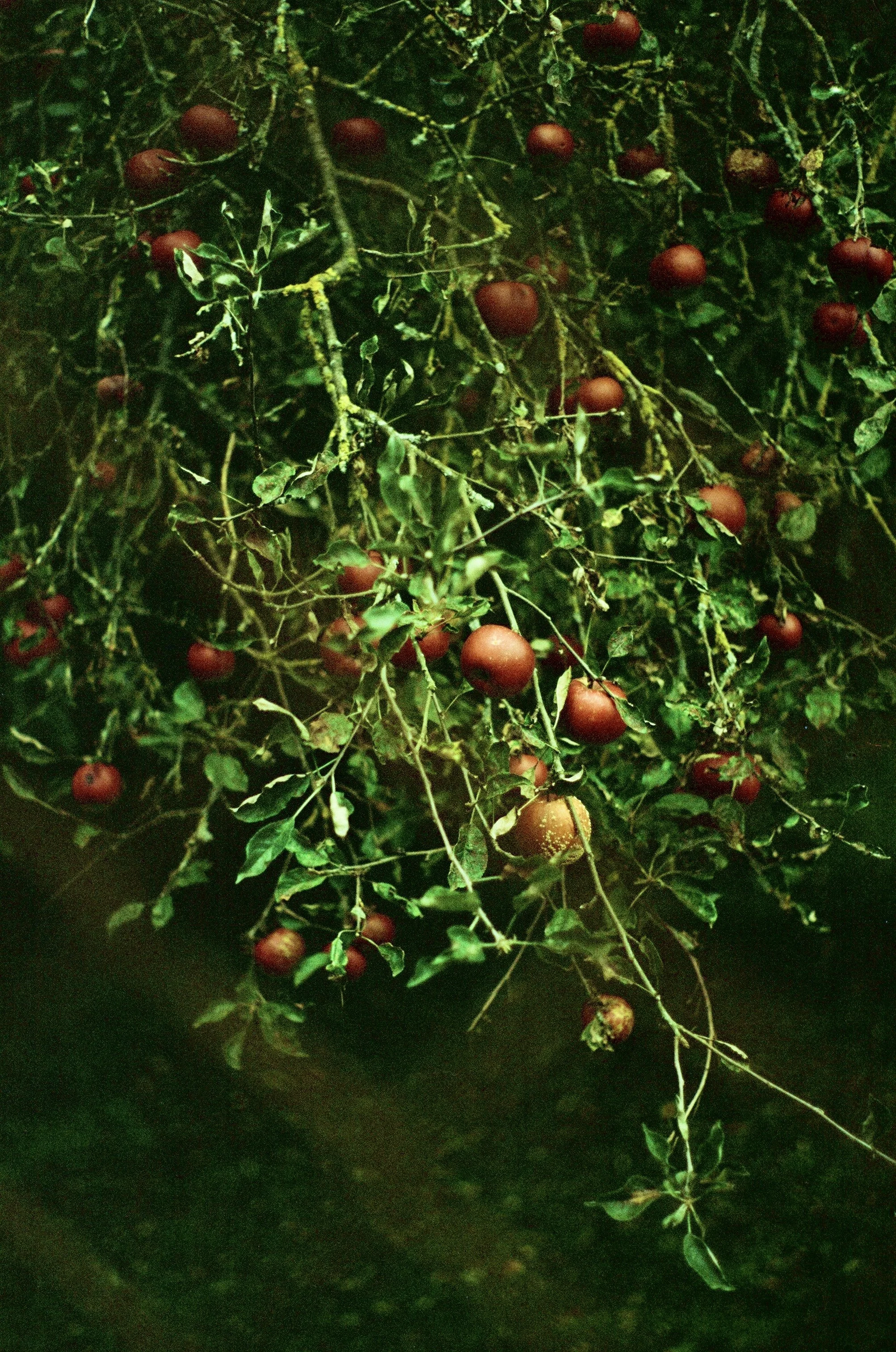 Photo Mar 11 2026, 10 33 55 PM (32).jpg