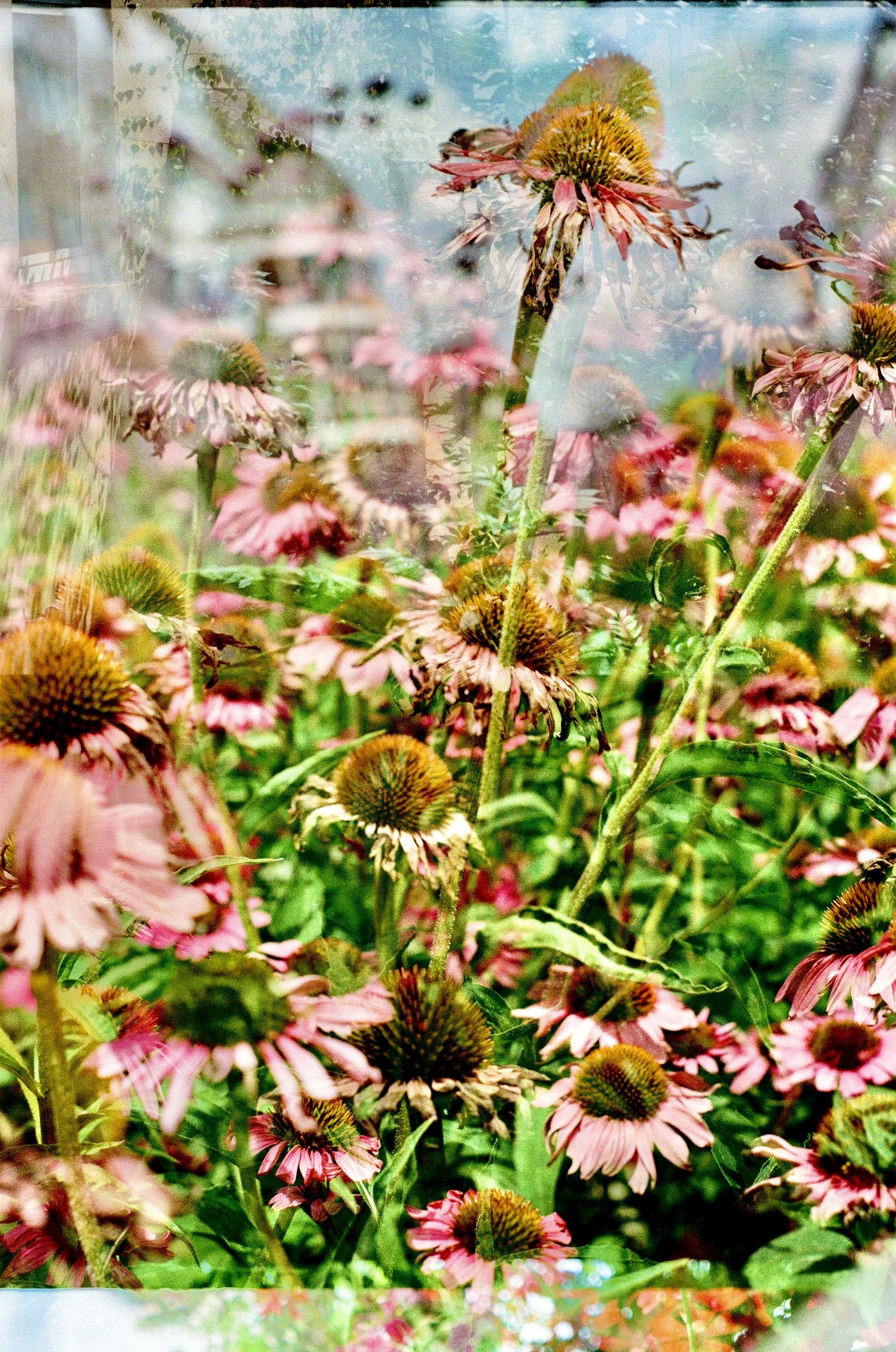 Photo Mar 11 2026, 10 33 54 PM.jpg