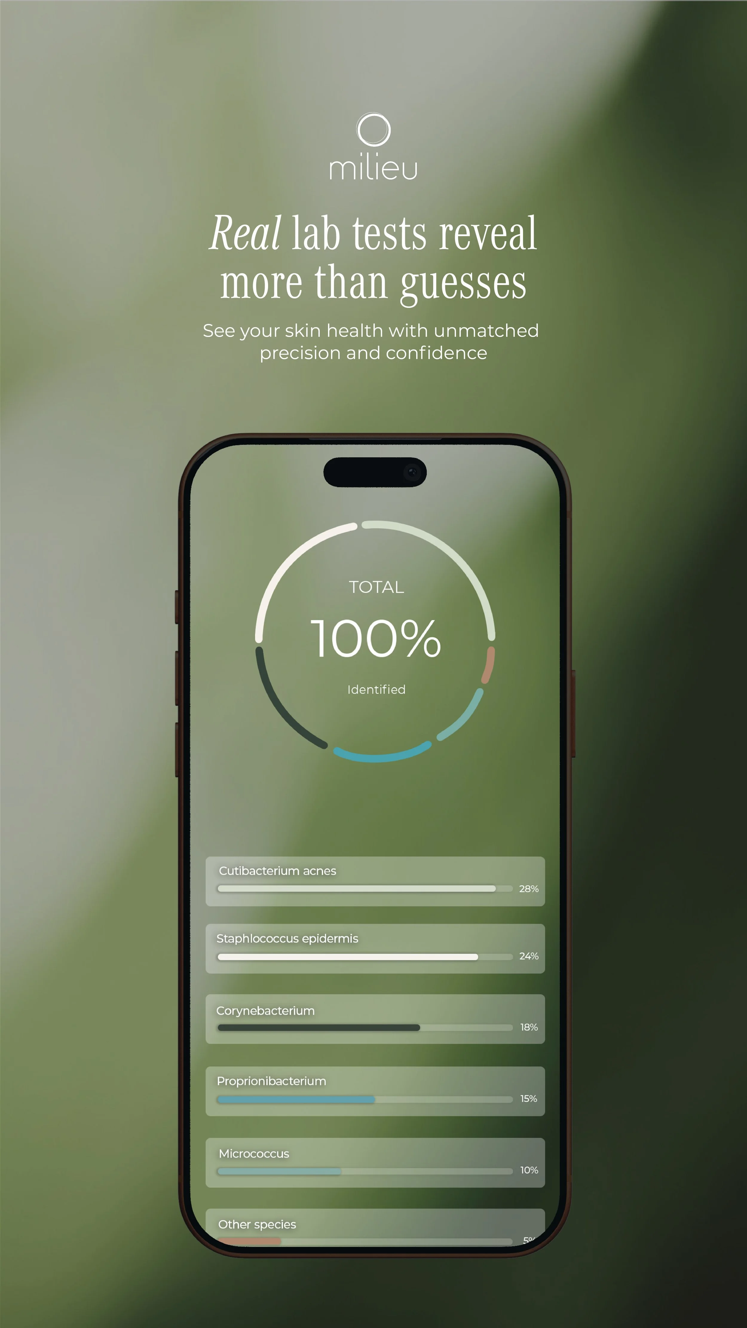 Milieu Social Post #1_Instagram Story Post.jpg