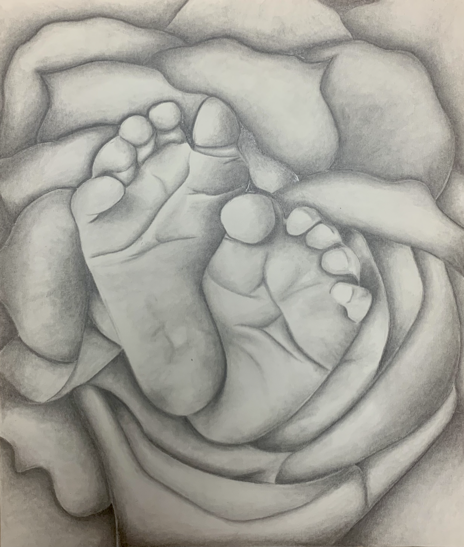 Screen Shot 2021-12-12 at 11.41.23 AM.png