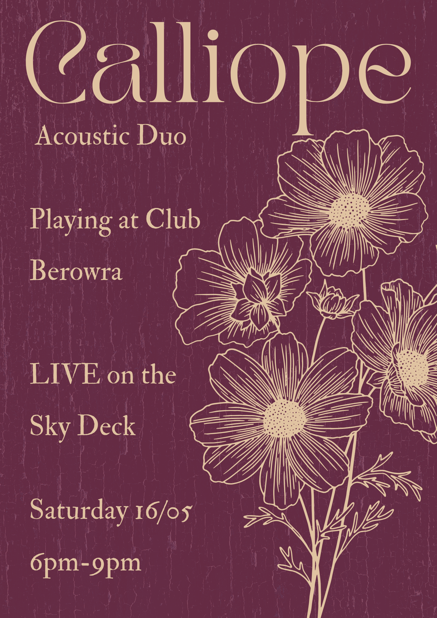 Calliope Acoustic Duo