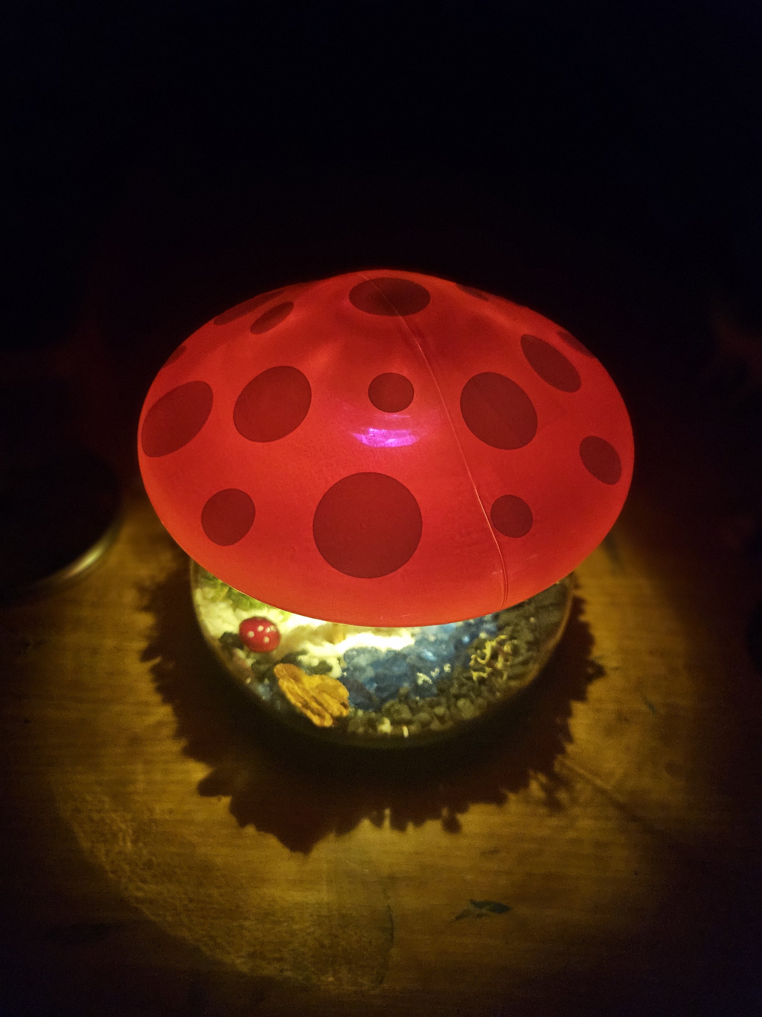 tlantern.jpg