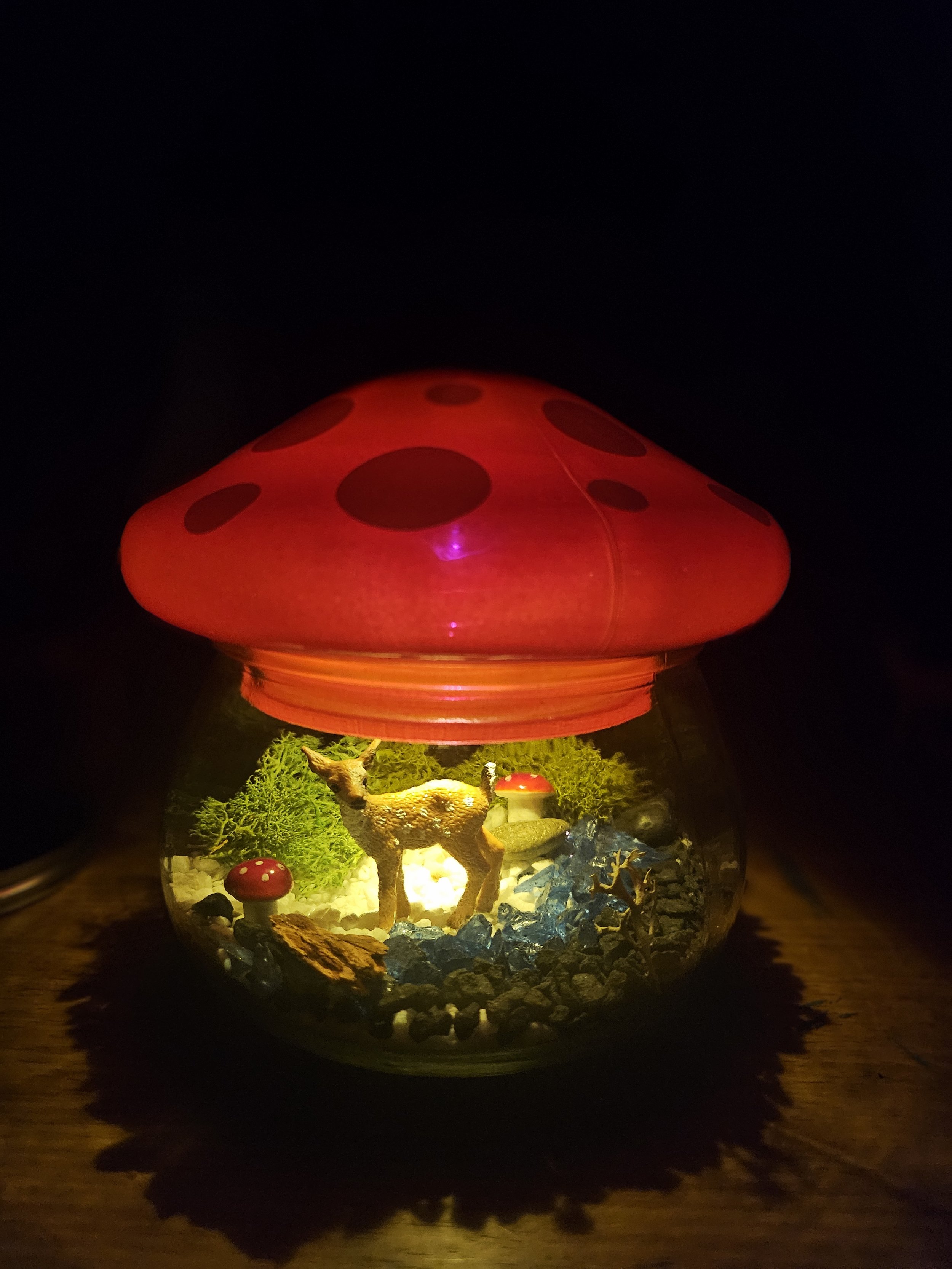 tlantern2.jpg