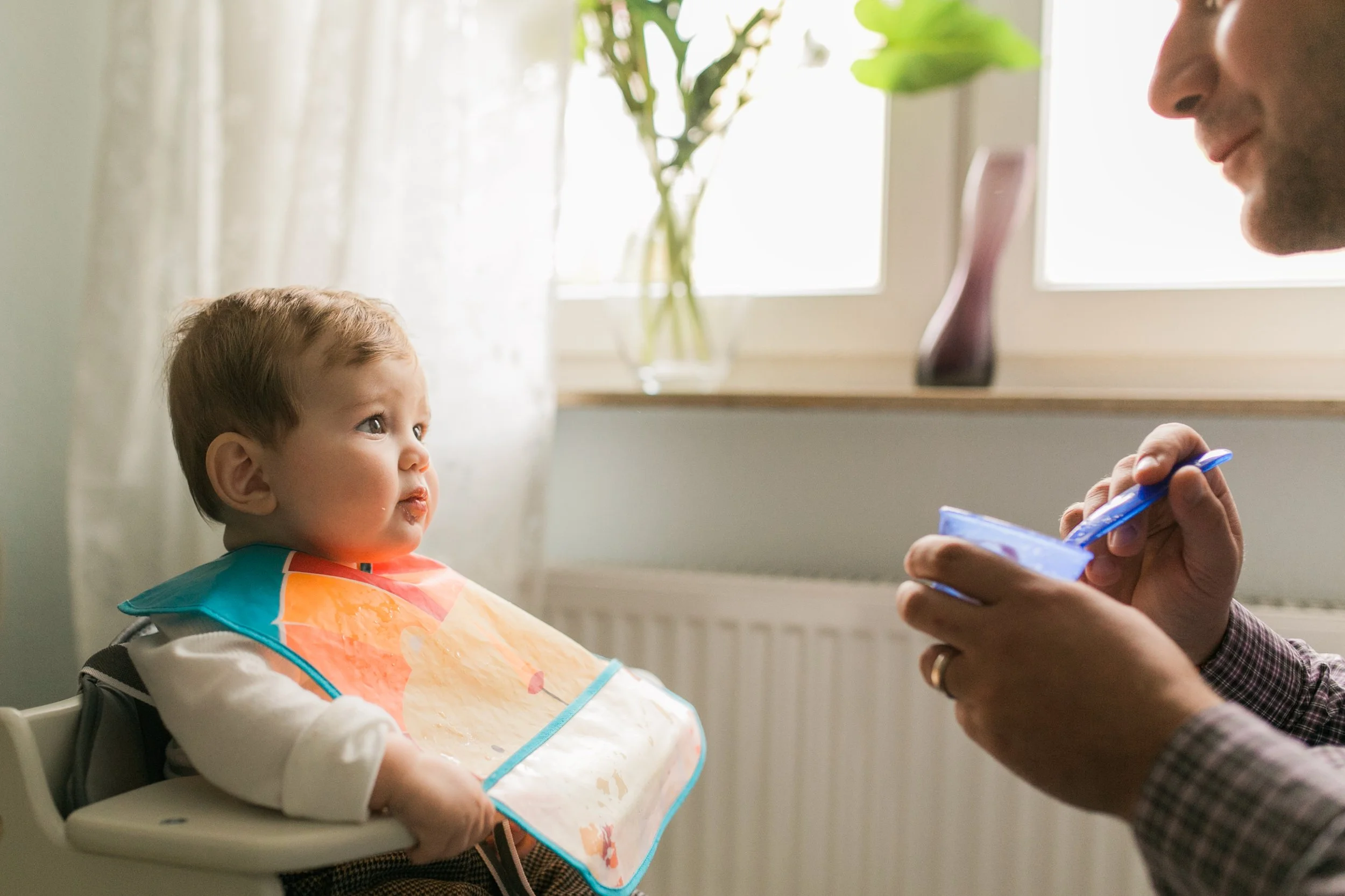 A baby sitting in a high chair with a colorful bib, looking attentively at an adult who is feeding him, in a bright room near a window with curtains and a small plant in the background.