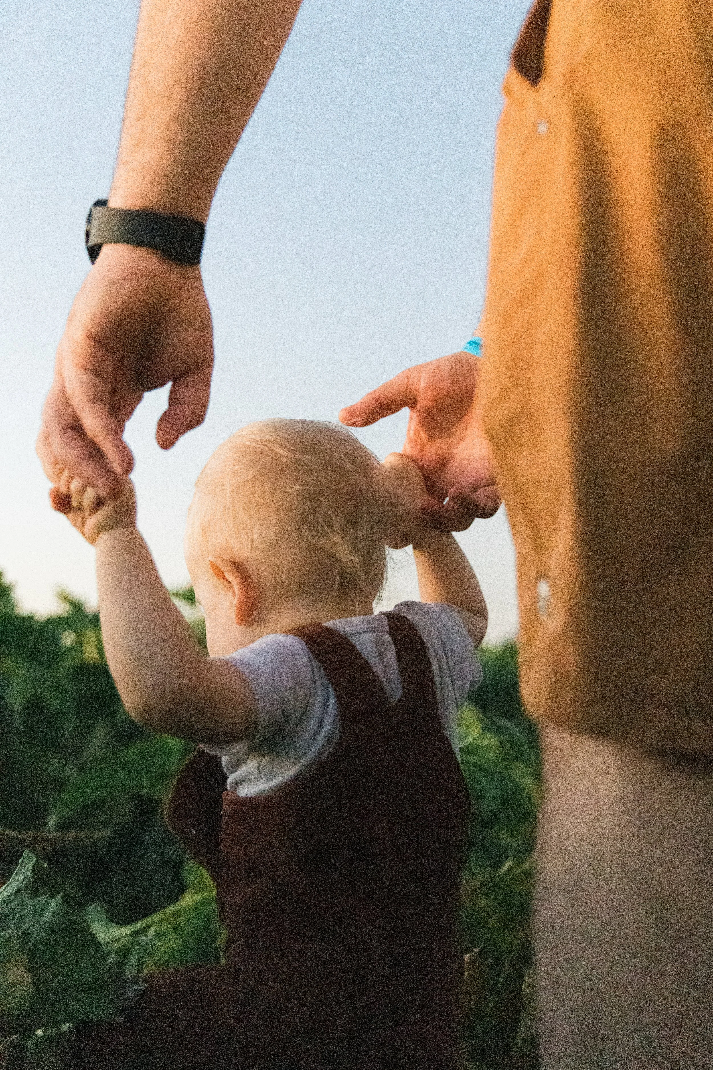 Close-up of a child holding an adult's hand outdoors during sunset or dusk, with greenery in the background. They are in a pumpkin patch.