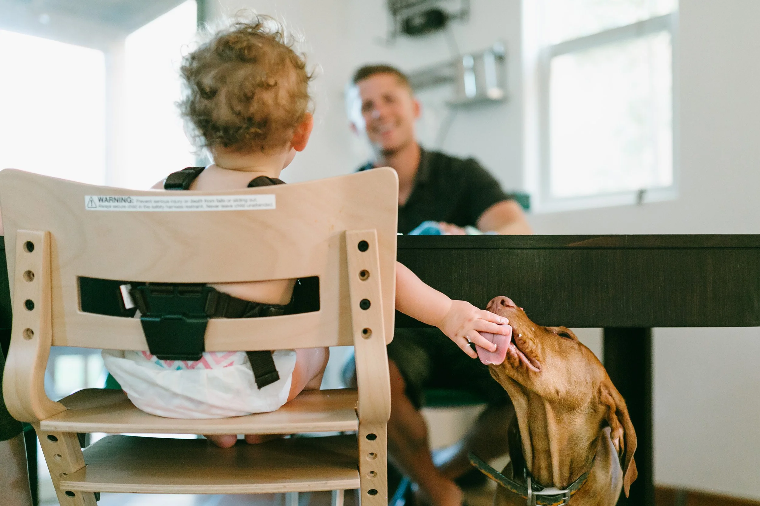affordable family photographer tucson