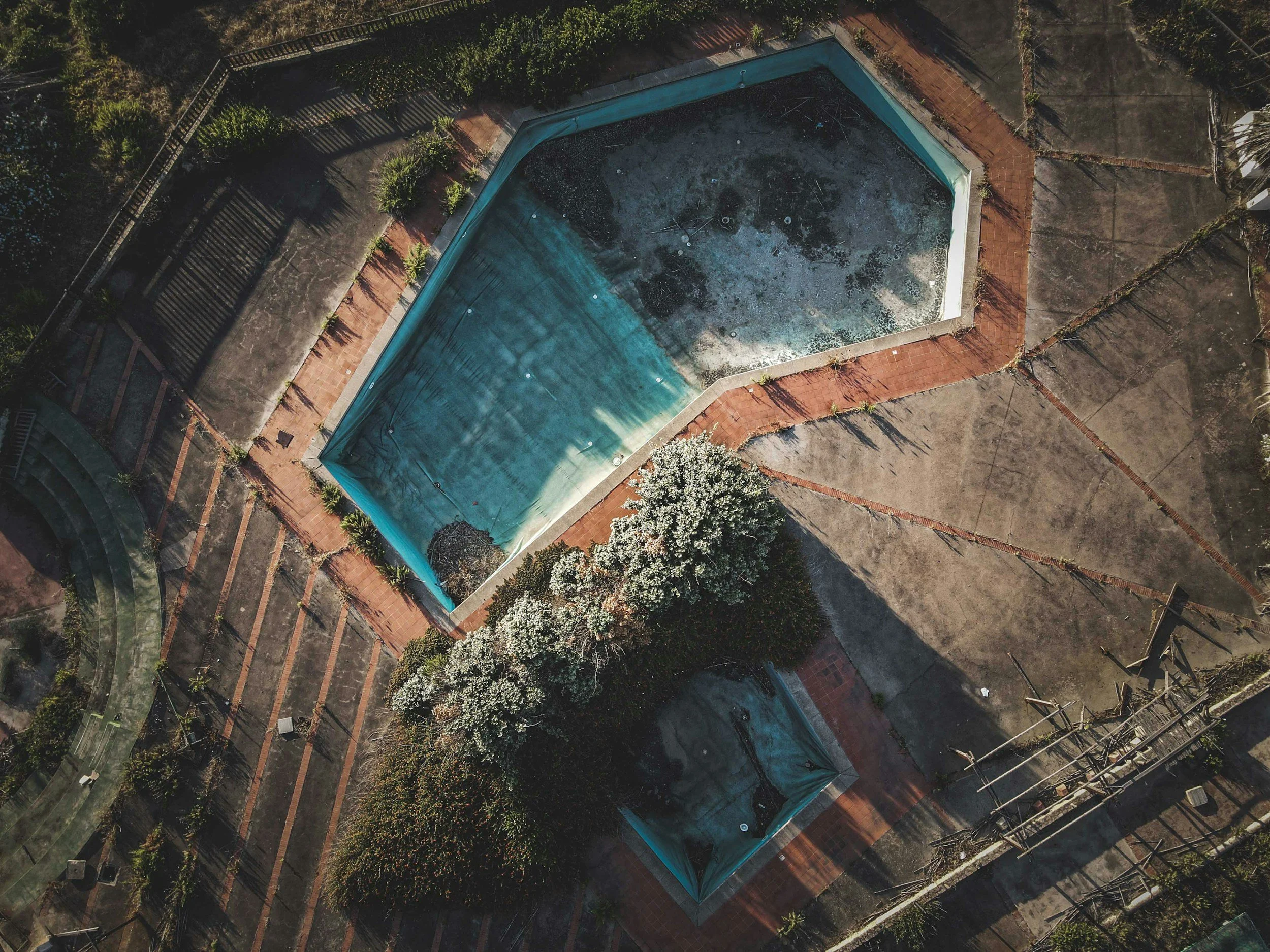 An aerial view of an outdoor swimming pool with a surrounding tiled walkway, overgrown with algae, and enclosed by trees and fences.