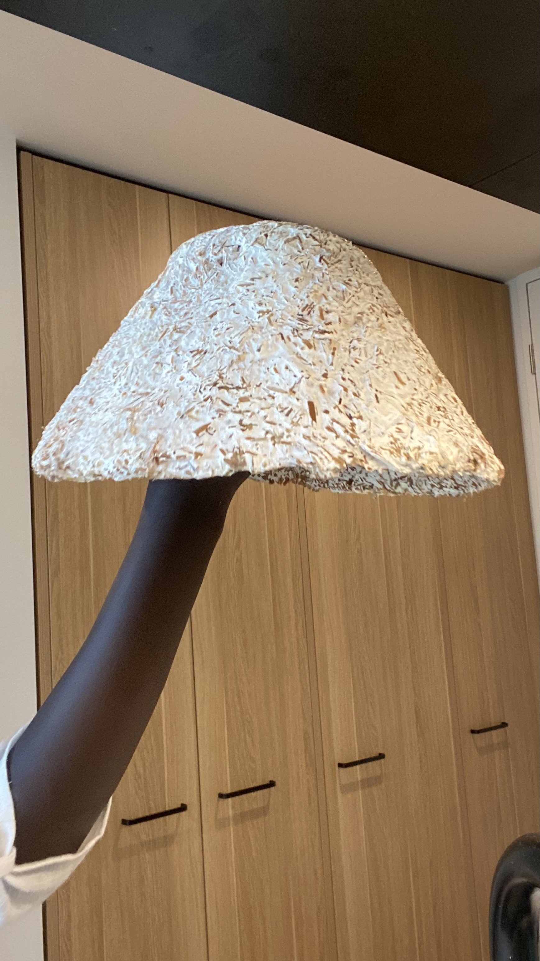 A mycelium lampshade unwrapped and prepared for baking in the oven