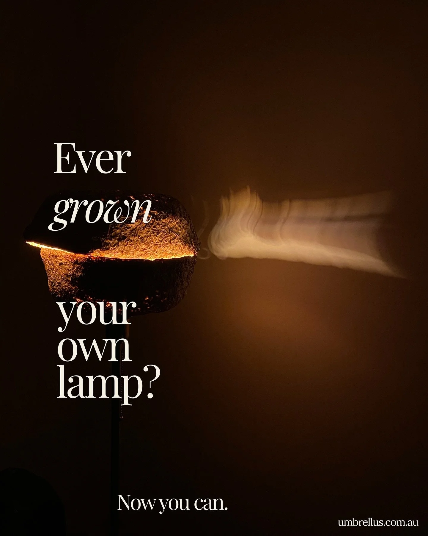 Join us for an exclusive, hands-on two-day workshop where you&rsquo;ll design and grow your own mycelium lampshade!

A two-part sculptural lighting masterclass in regenerative design - blending material innovation, sustainability, and hands-on creati