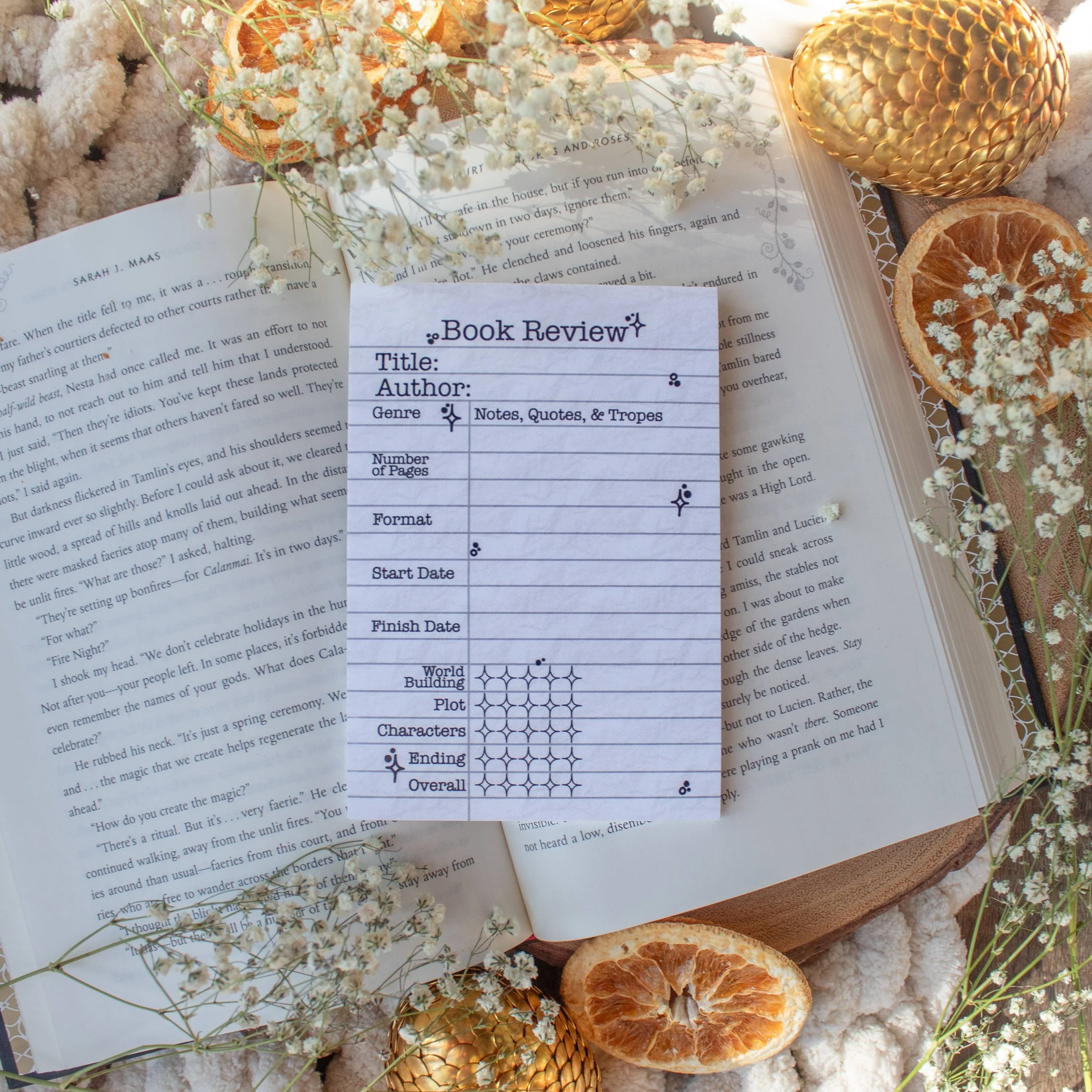 4x6-book-review-post-it-notepad-type-writer-5.jpg
