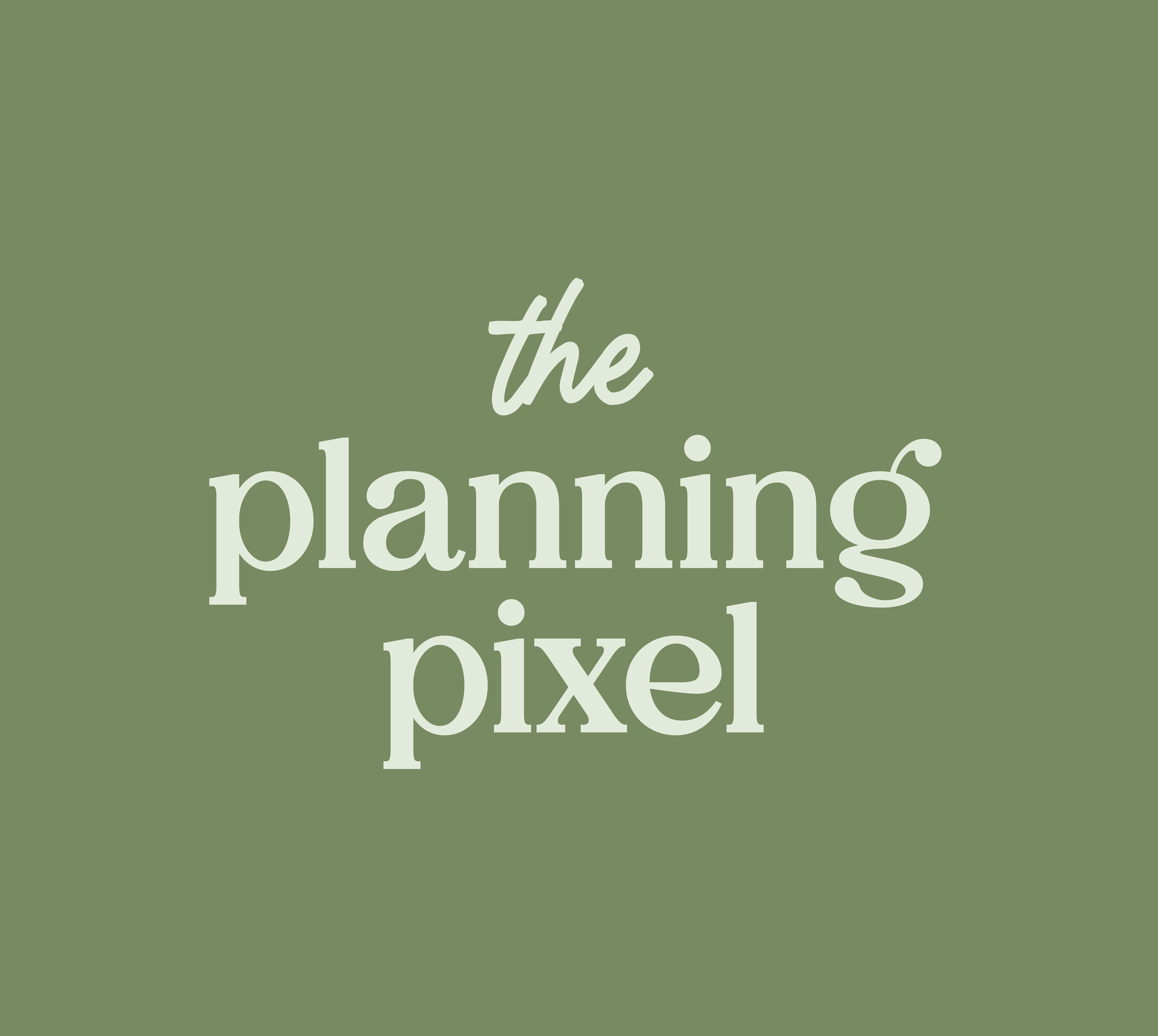 The Planning Pixel