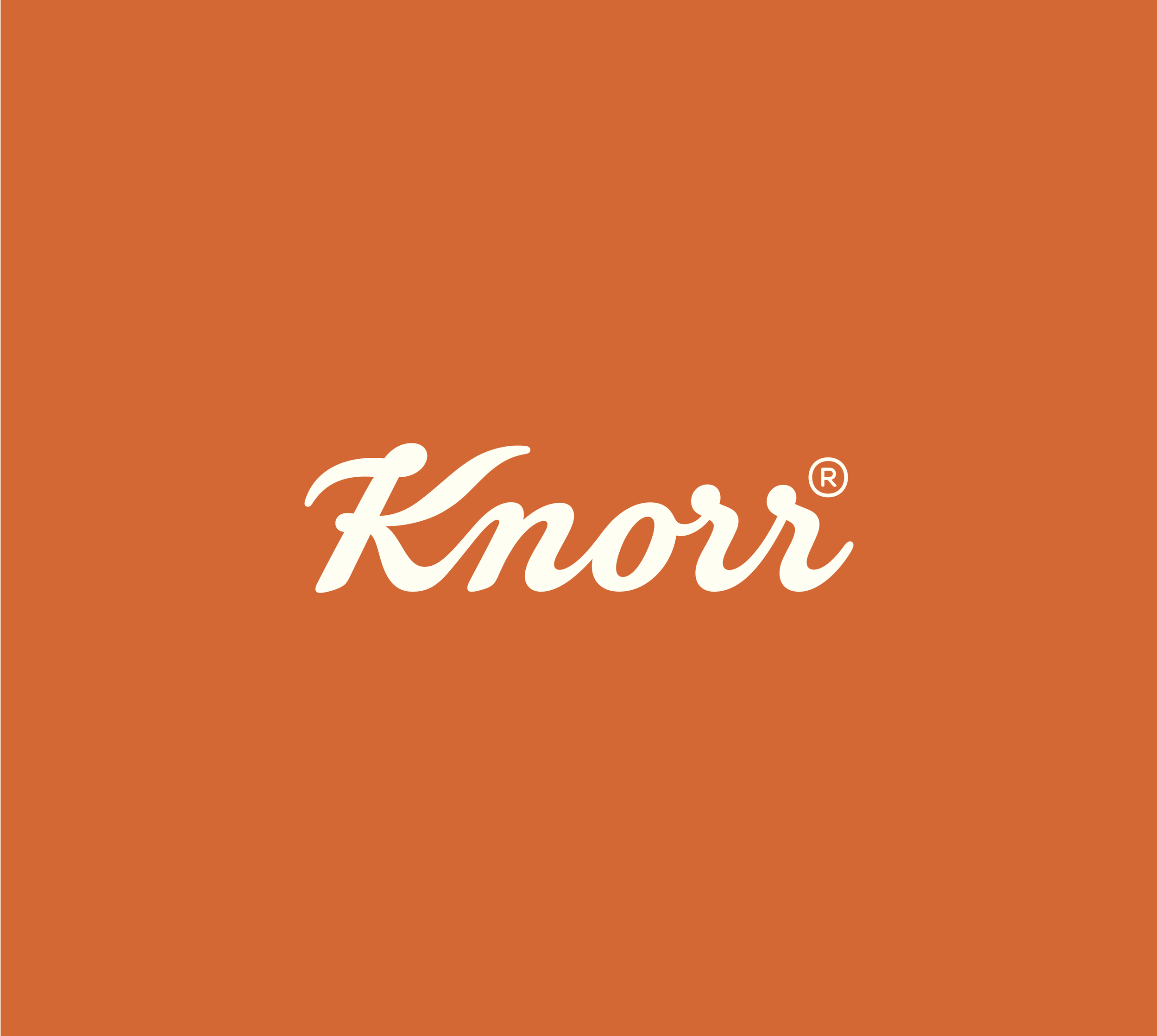 Knorr's Social Media