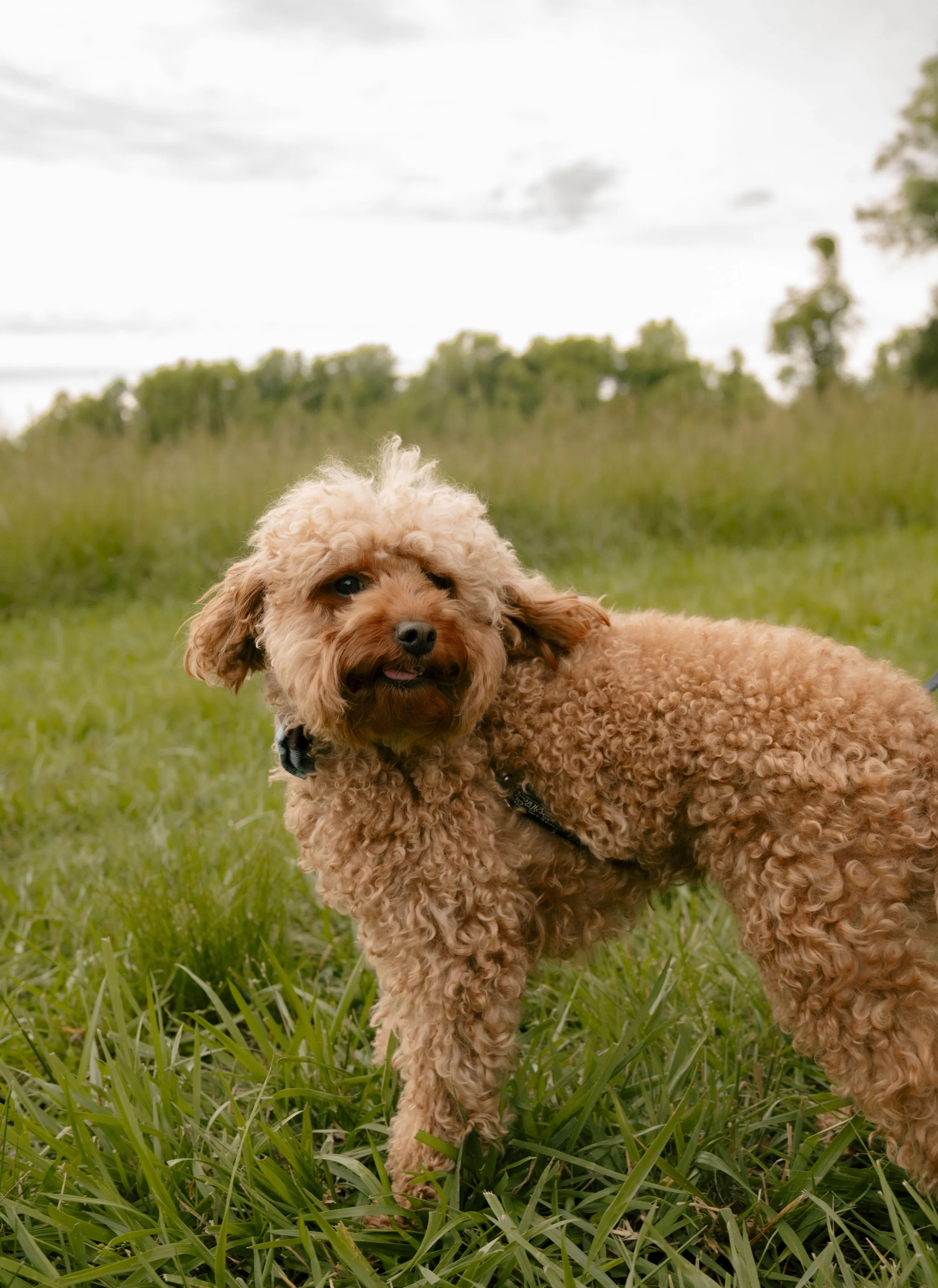 The Blackmans619.JPG