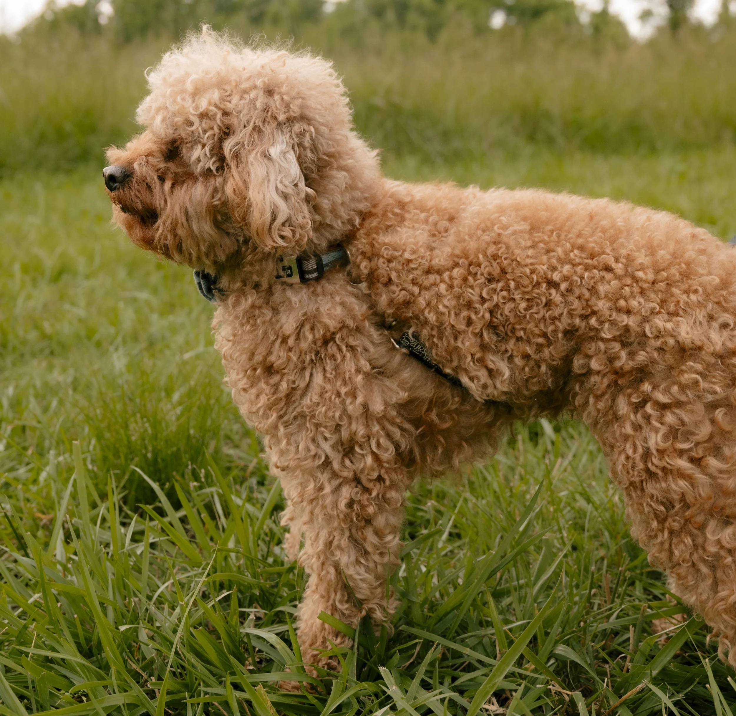 The Blackmans618.JPG