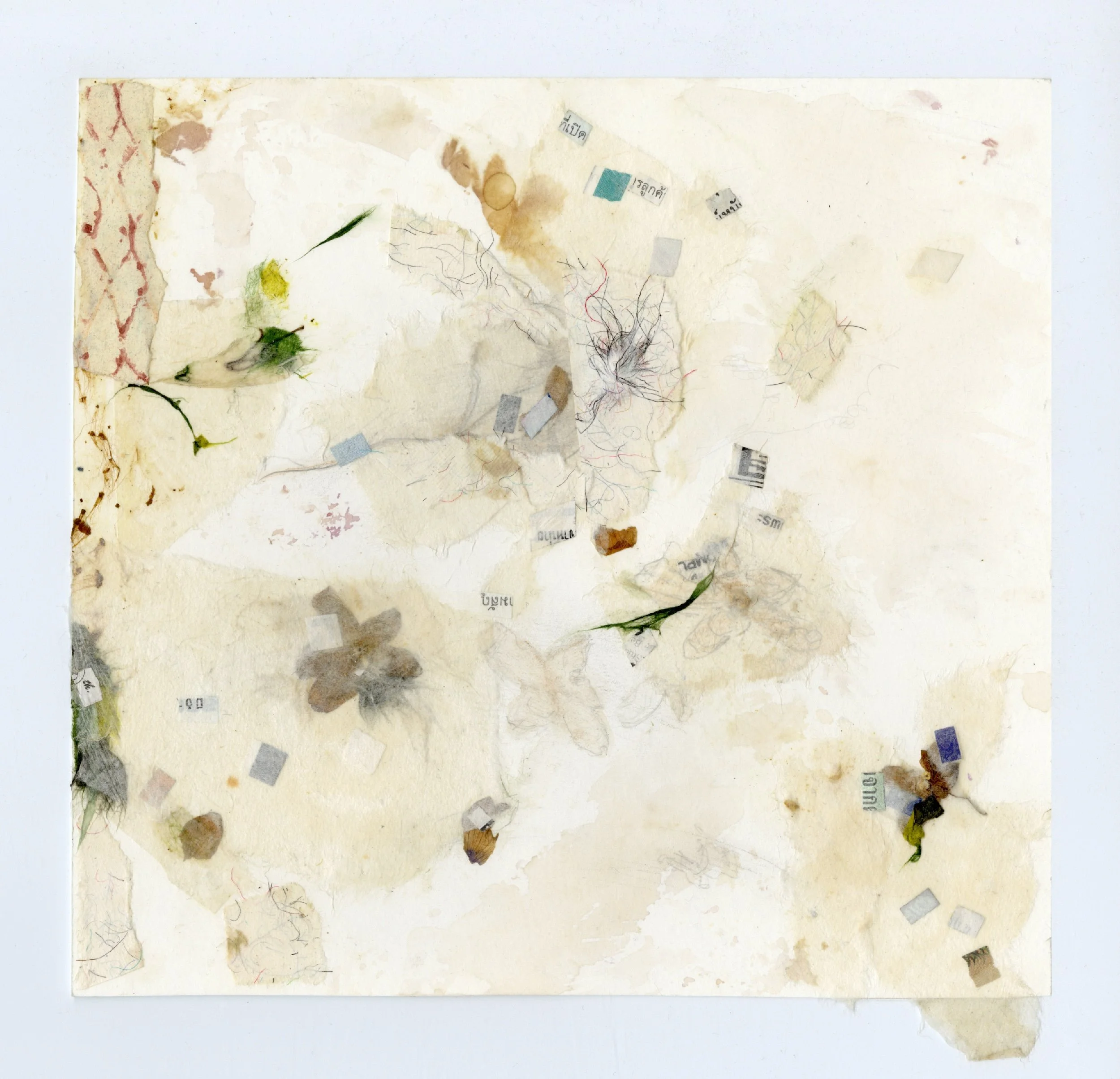 Flutter Fall VI
Collage, graphite, water soluble crayon, 9" x 9" H, 2021