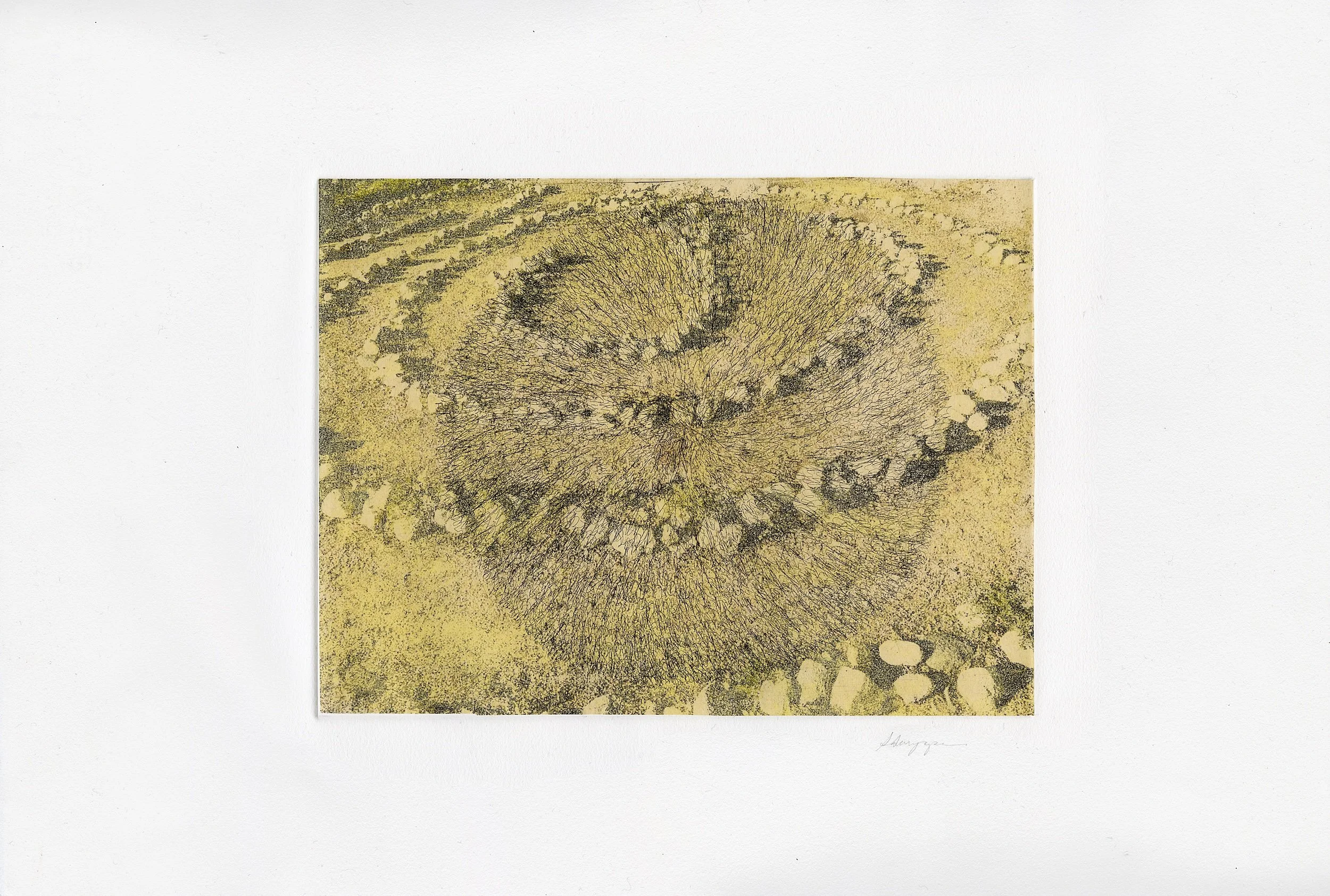 Golden Labyrinth
Soft-ground, chine collé etching, 15" x 22" H, 2023
