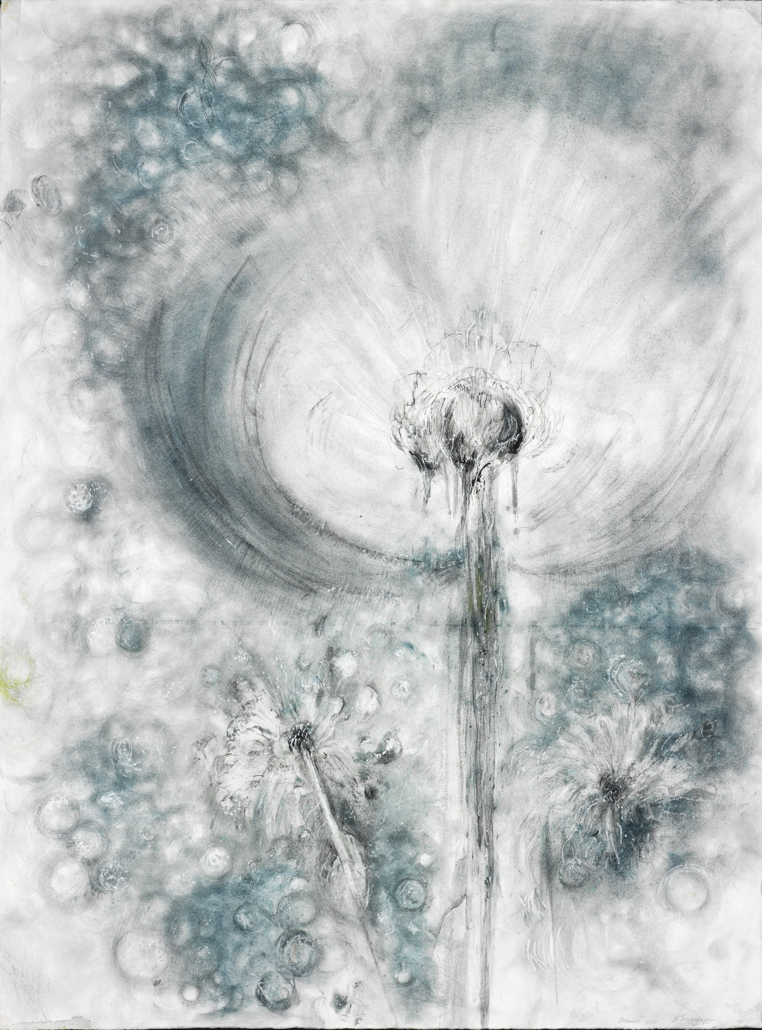 Floral Study
Pastel, graphite, 15" x 24" H, 2007