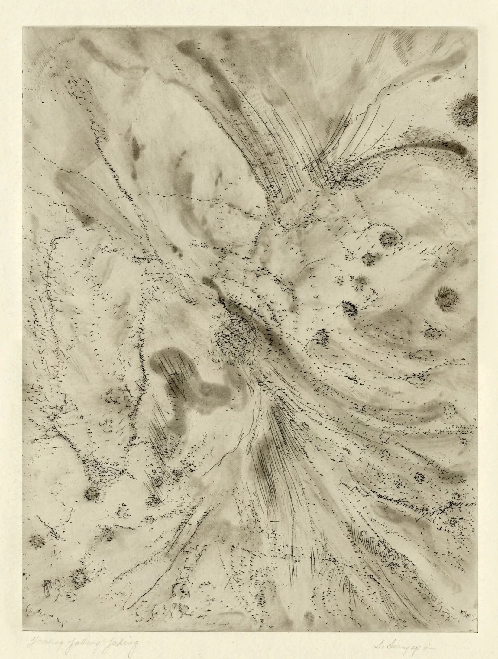 Floating, Falling, Fading IV
Soft-ground, spit-bite etching
15" x 22.25" H, 2024