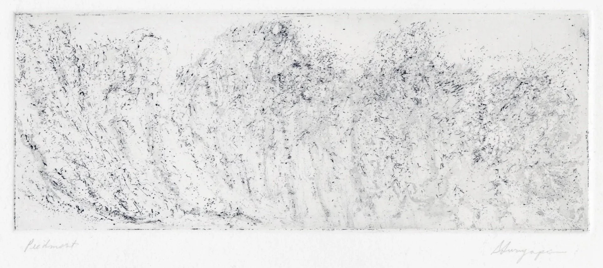 Expanse
Soft-ground etching
15" x 11" H, 2023