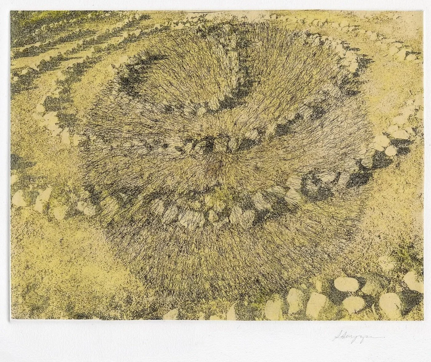 Golden Labyrinth
Soft-ground etching, chine collé
15" x 22" H, 2023