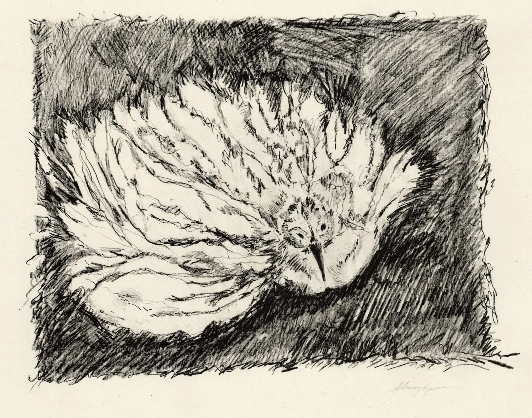 Last Breath
Lithograph
20.5" x 15" H, 2022